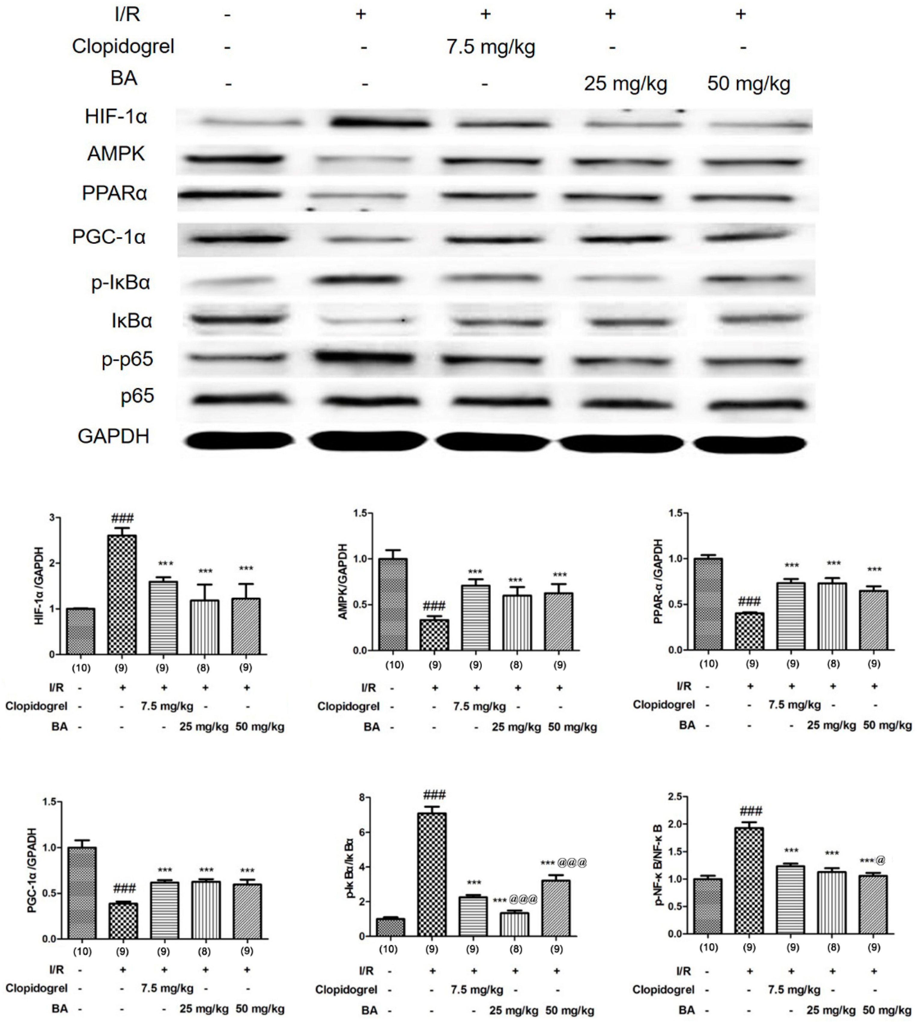 Applsci 10 02578 g007