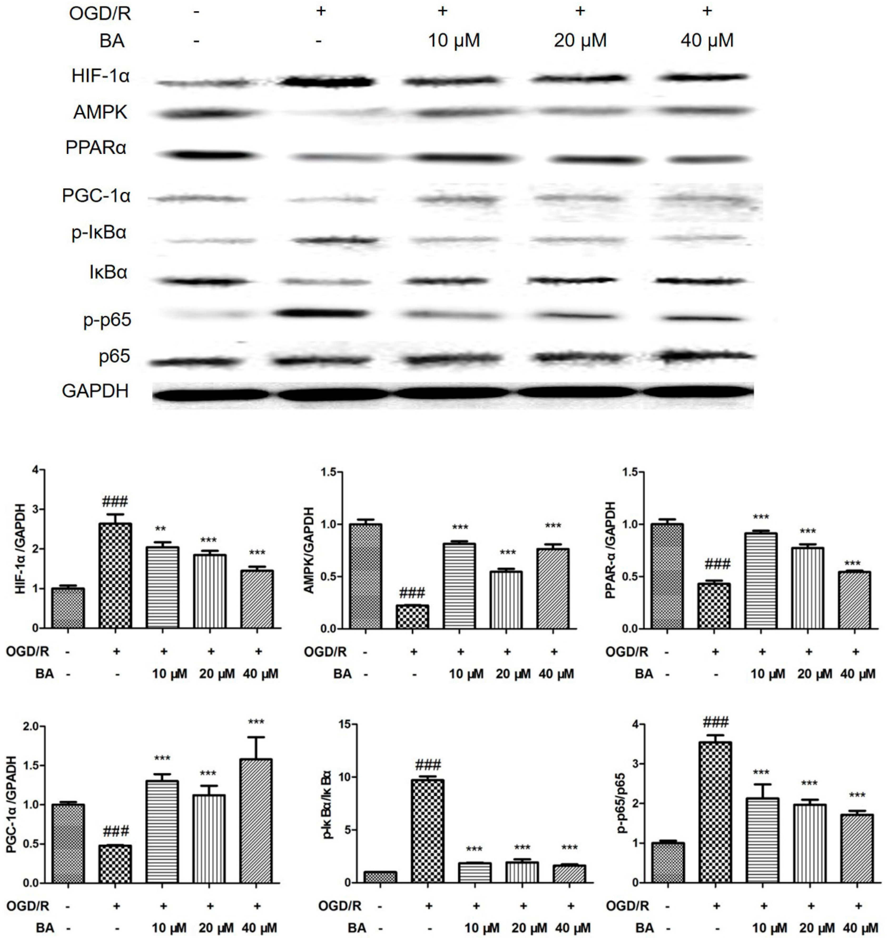 Applsci 10 02578 g008