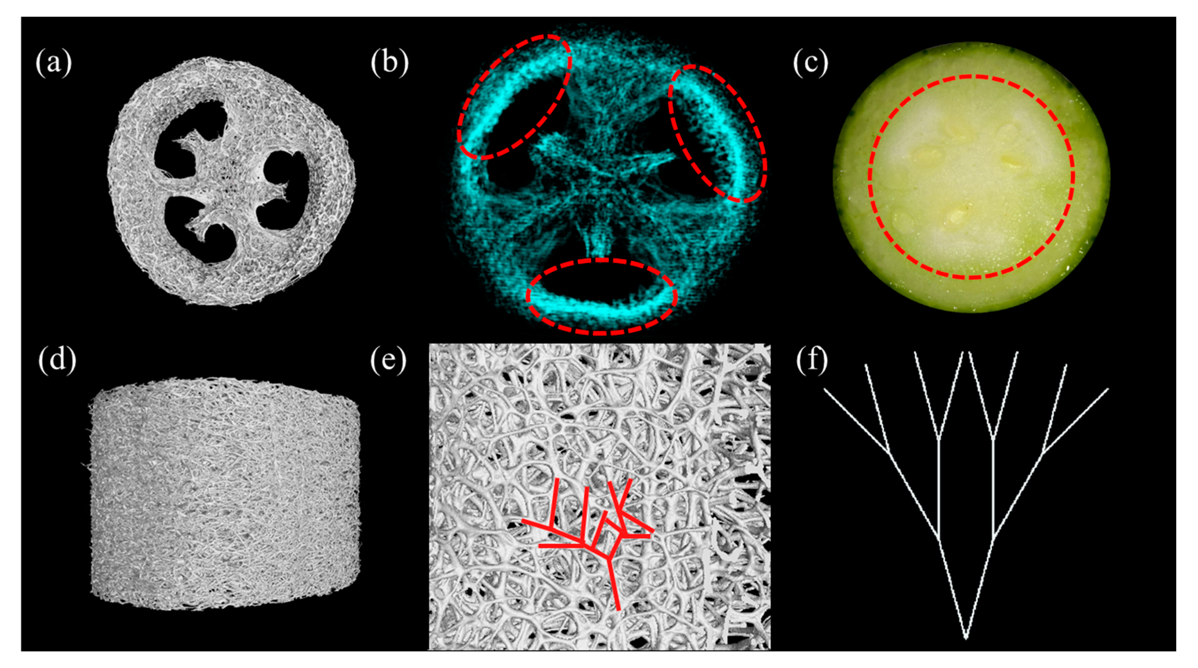 Applsci 10 02584 g003 Applsci 10 02584 g003