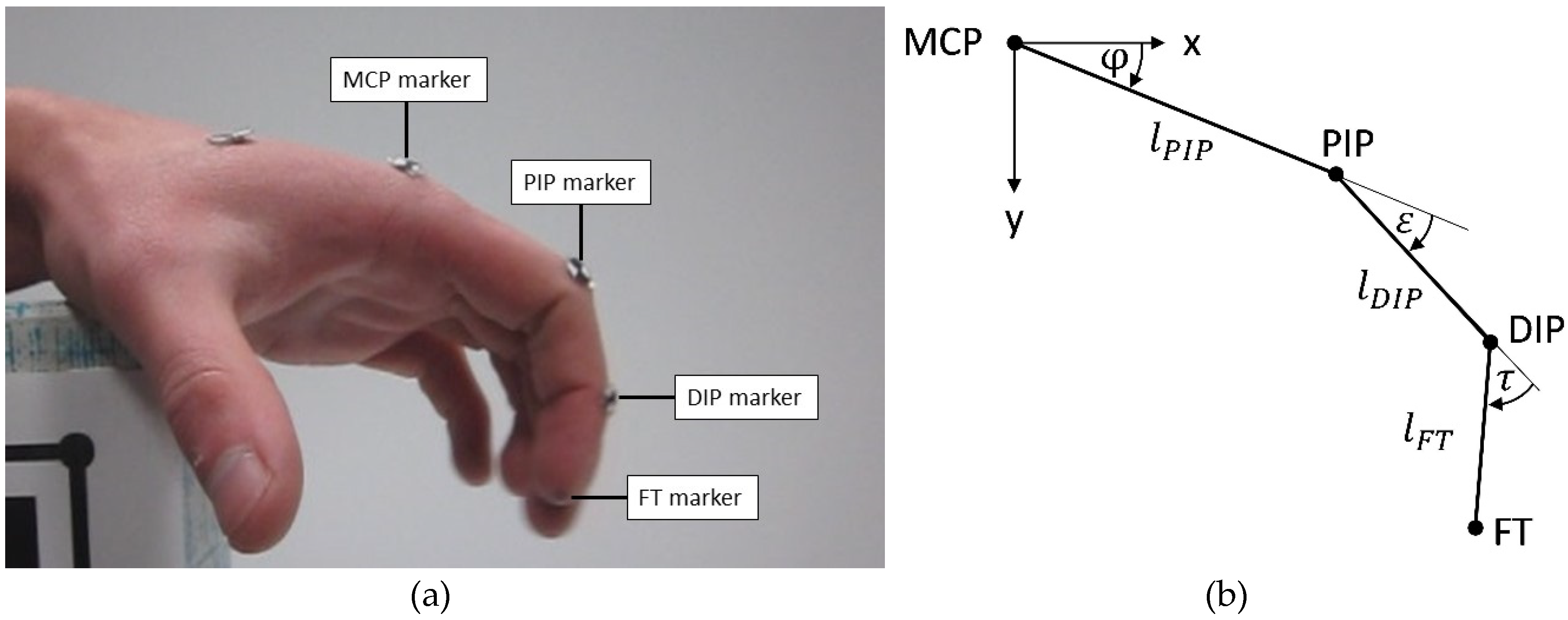 Applsci 10 02619 g003