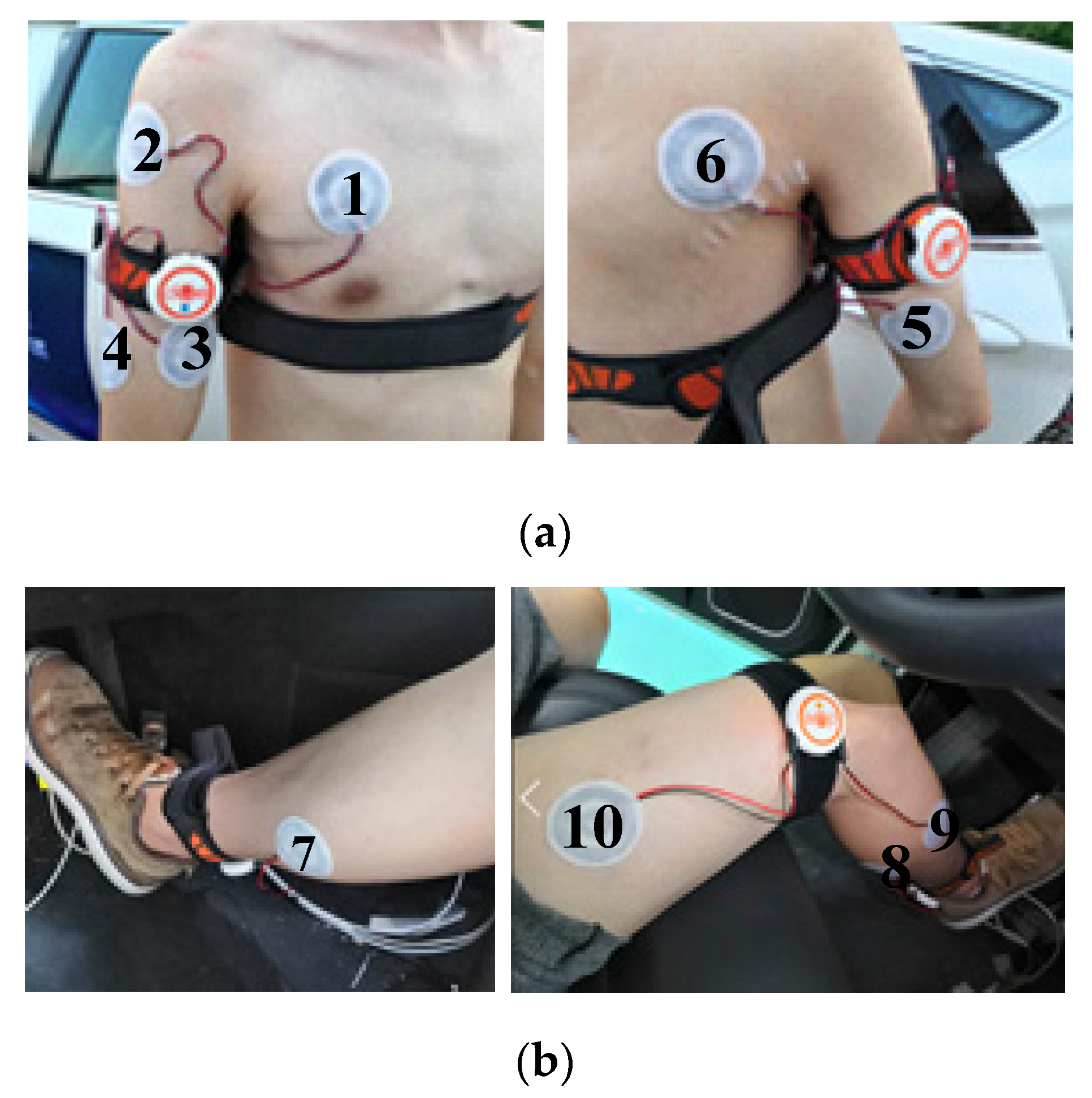 Applsci 10 02626 g005 Applsci 10 02626 g005