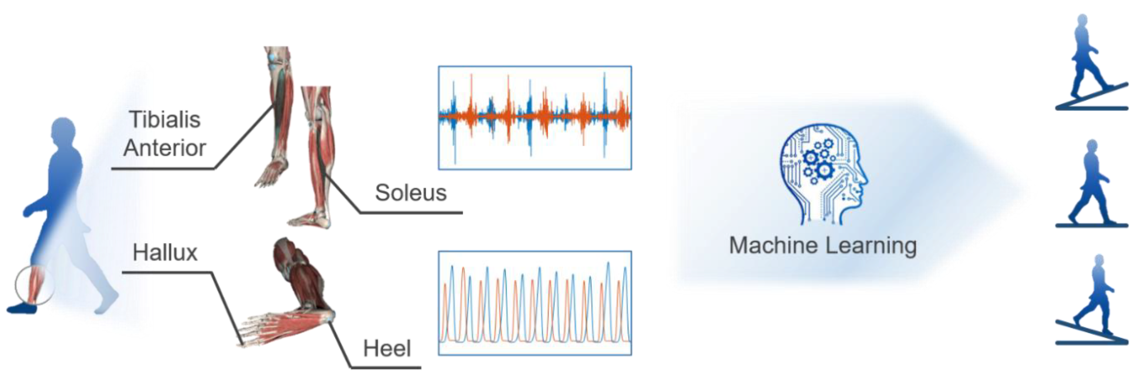 Applsci 10 02638 g002 Applsci 10 02638 g002