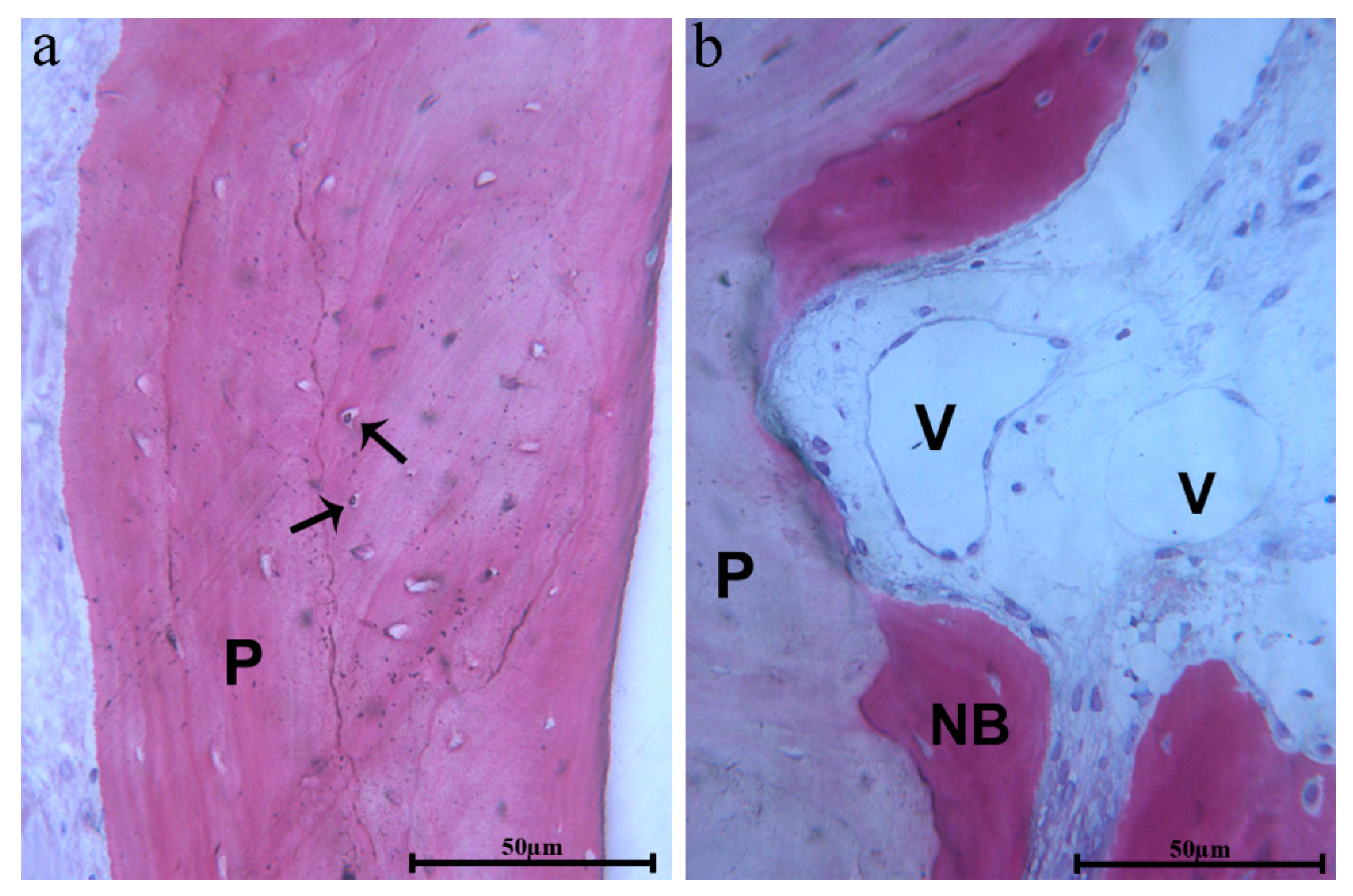 Applsci 10 02659 g008