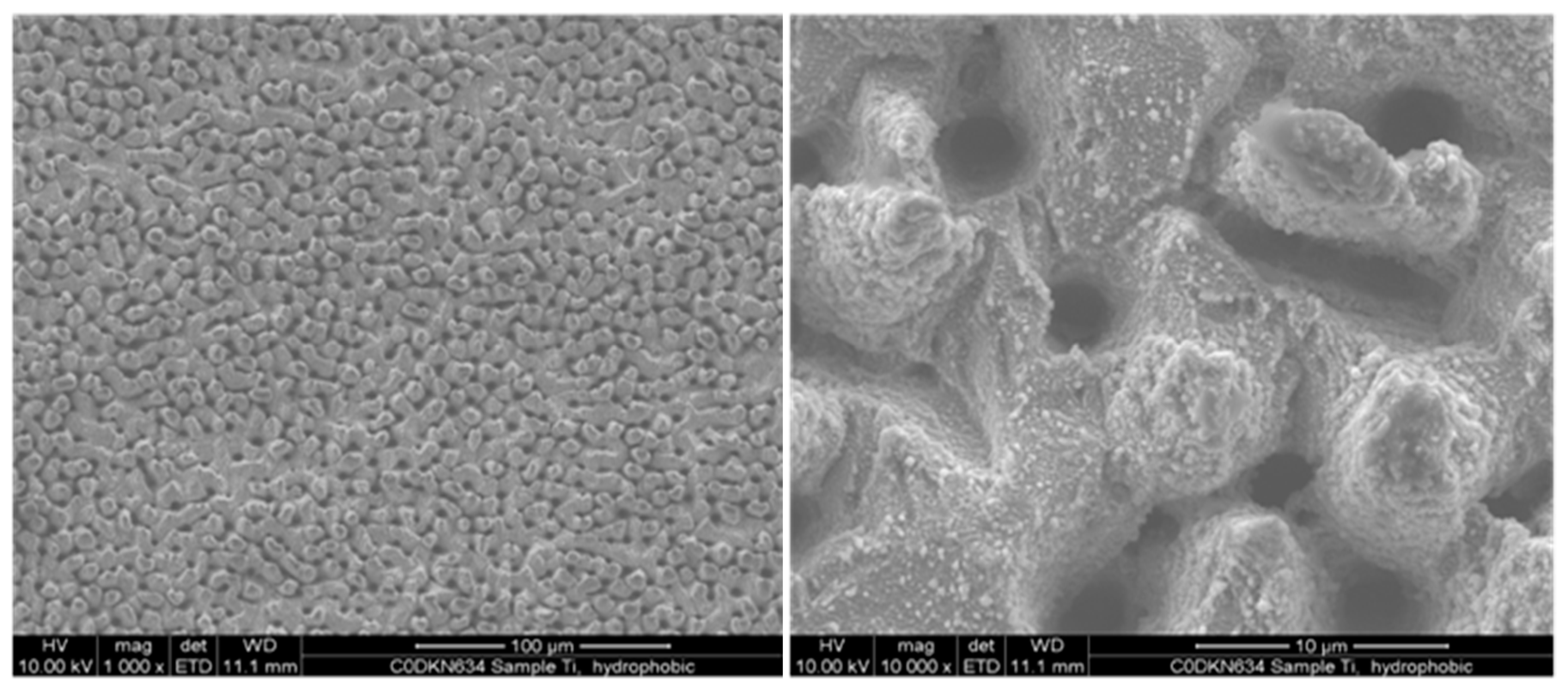 Applsci 10 02678 g003 Applsci 10 02678 g003