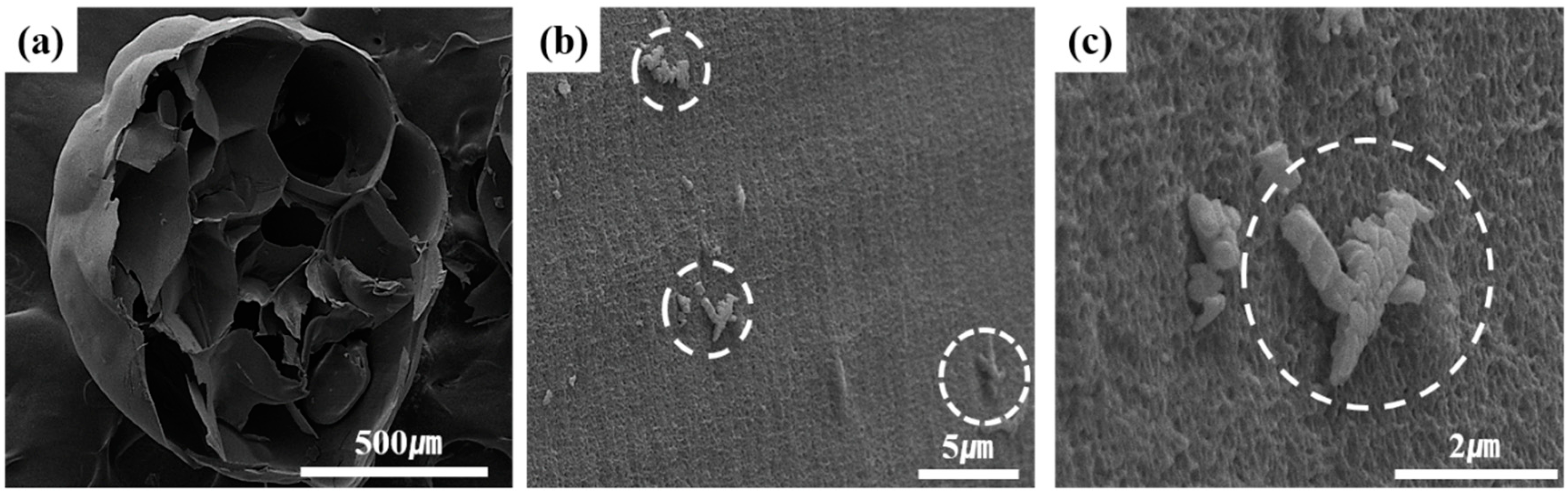 Applsci 10 02679 g003