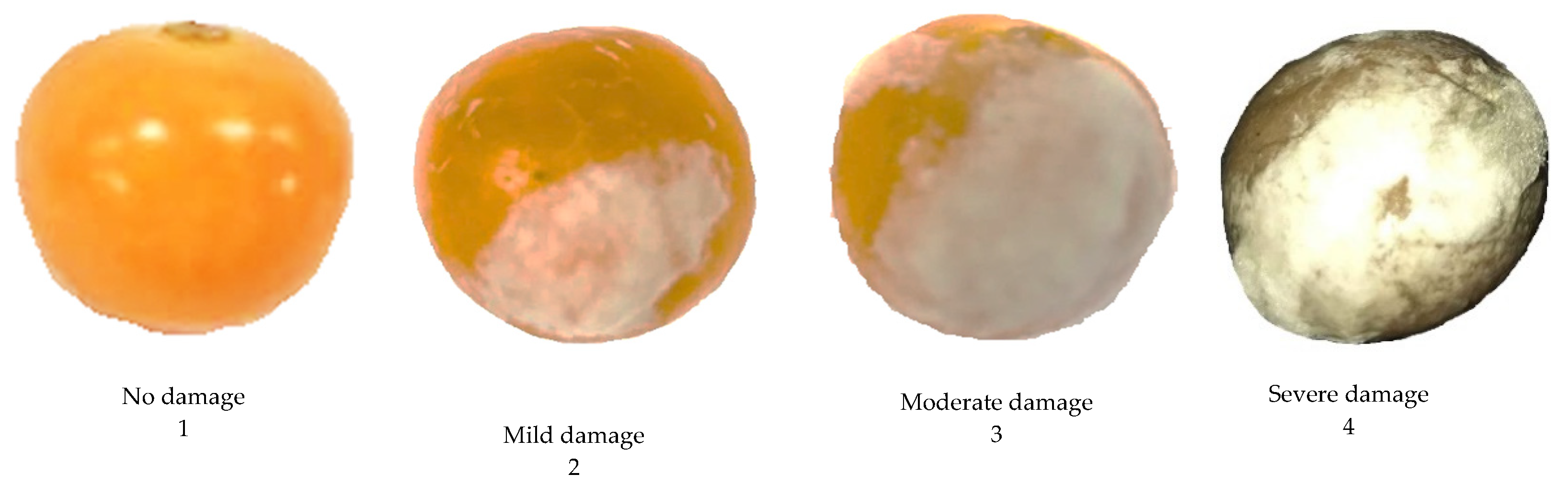 Applsci 10 02684 g001 Applsci 10 02684 g001