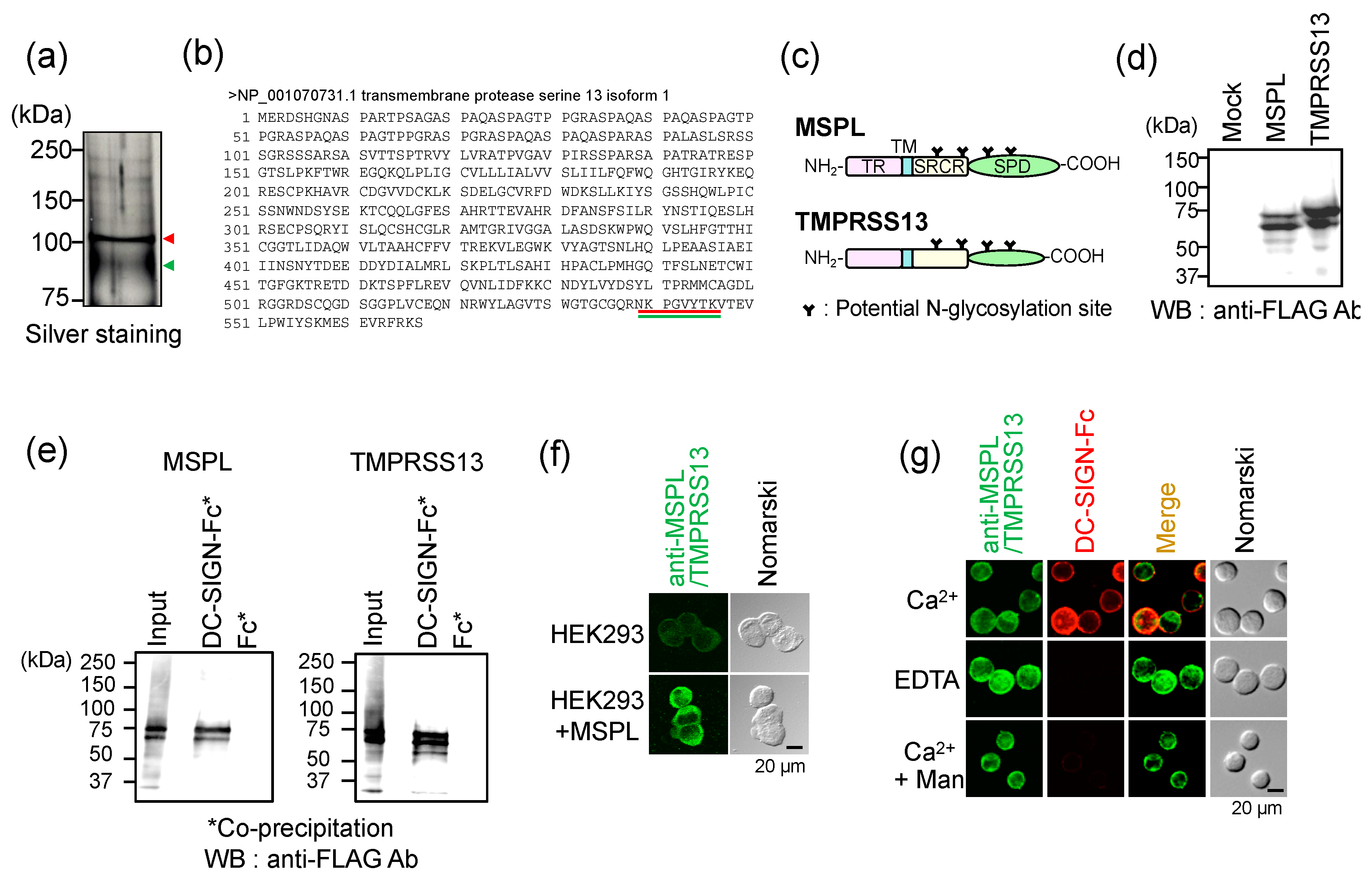 Applsci 10 02687 g001 Applsci 10 02687 g001