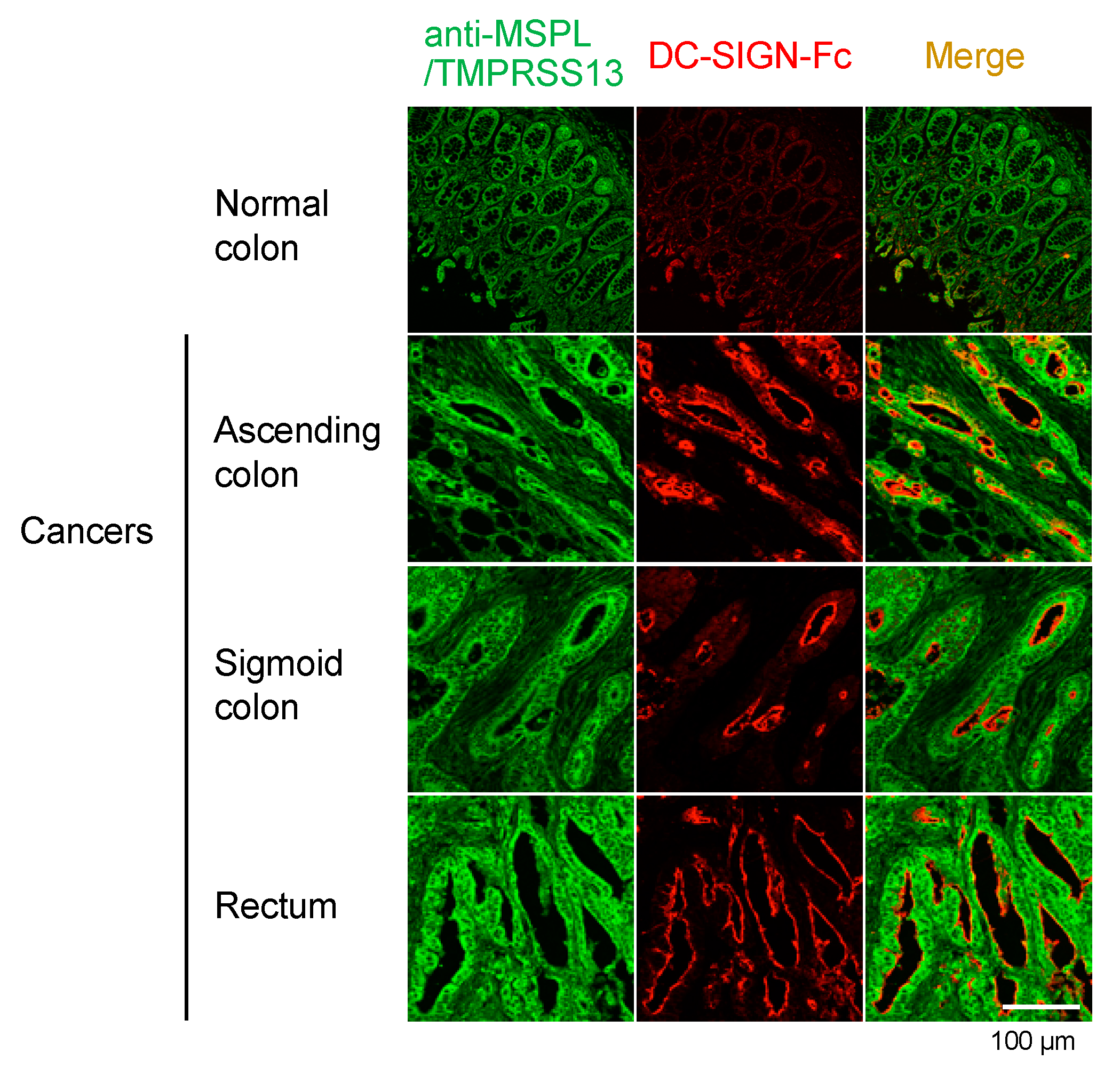 Applsci 10 02687 g002 Applsci 10 02687 g002