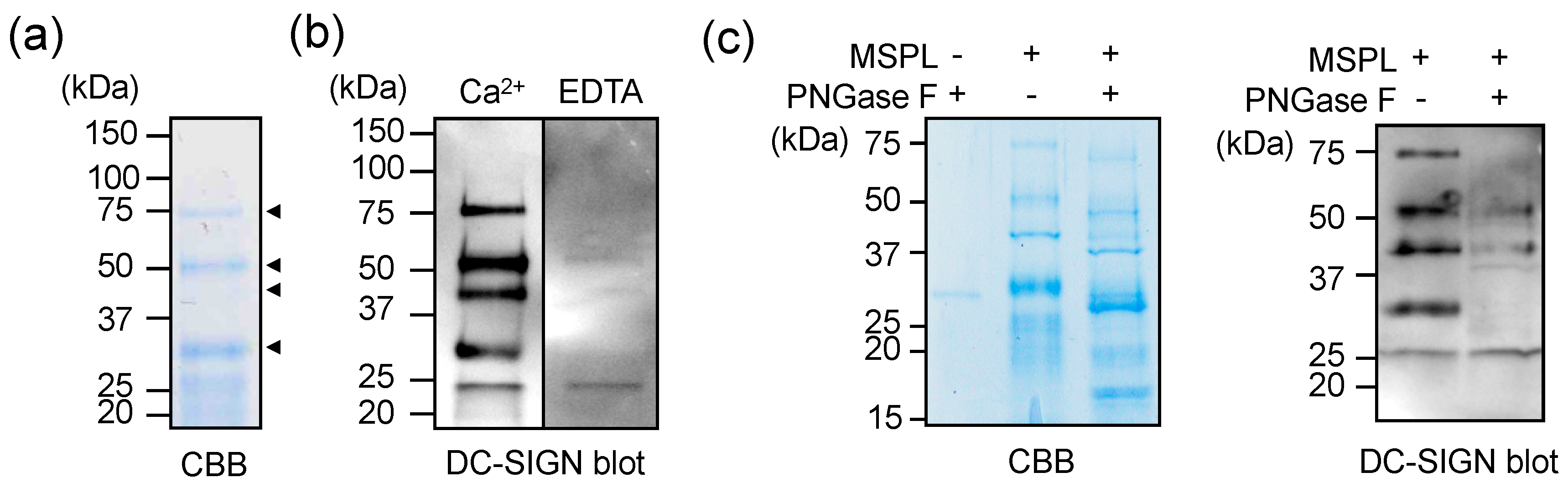 Applsci 10 02687 g003 Applsci 10 02687 g003