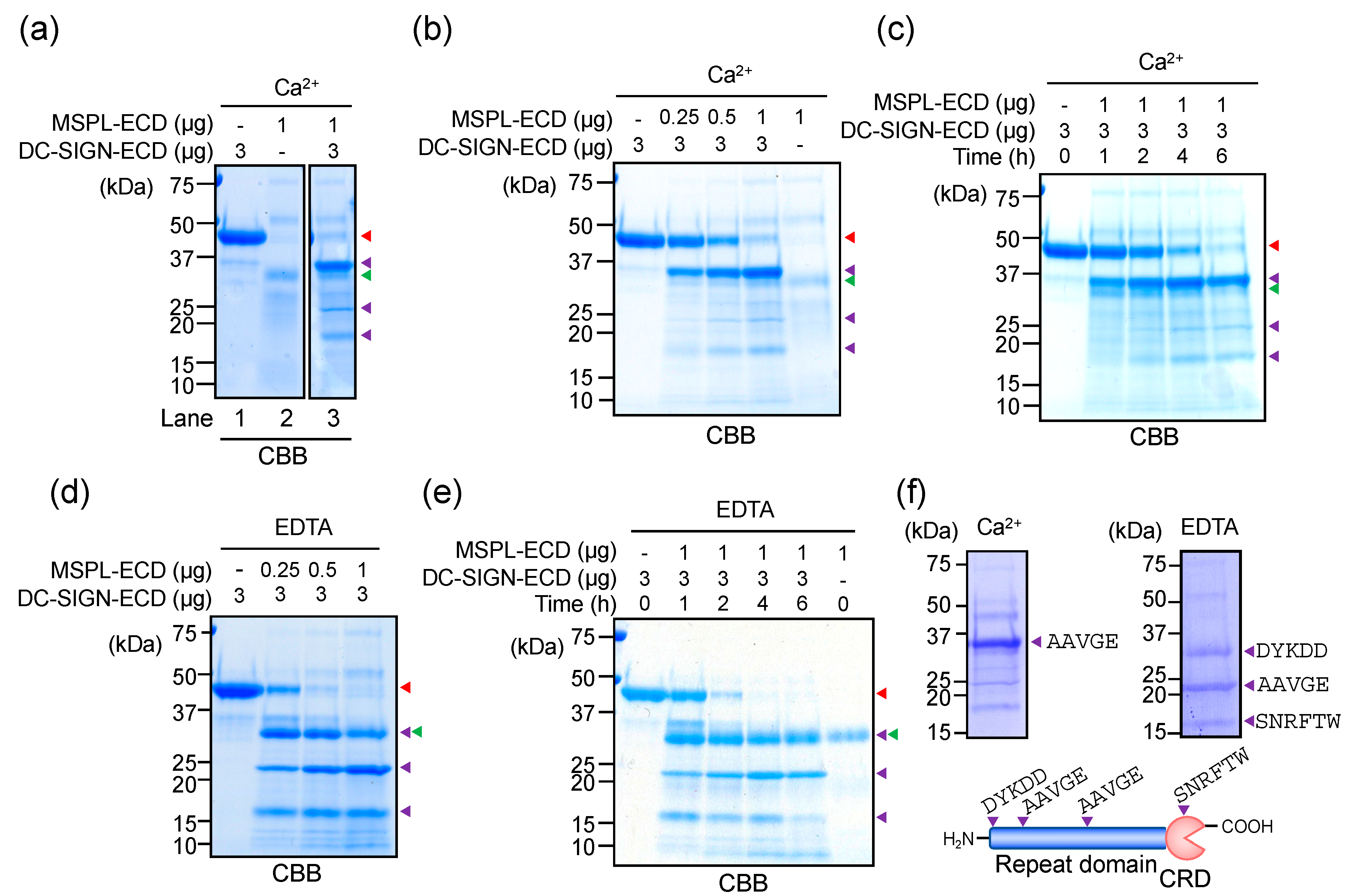 Applsci 10 02687 g004 Applsci 10 02687 g004