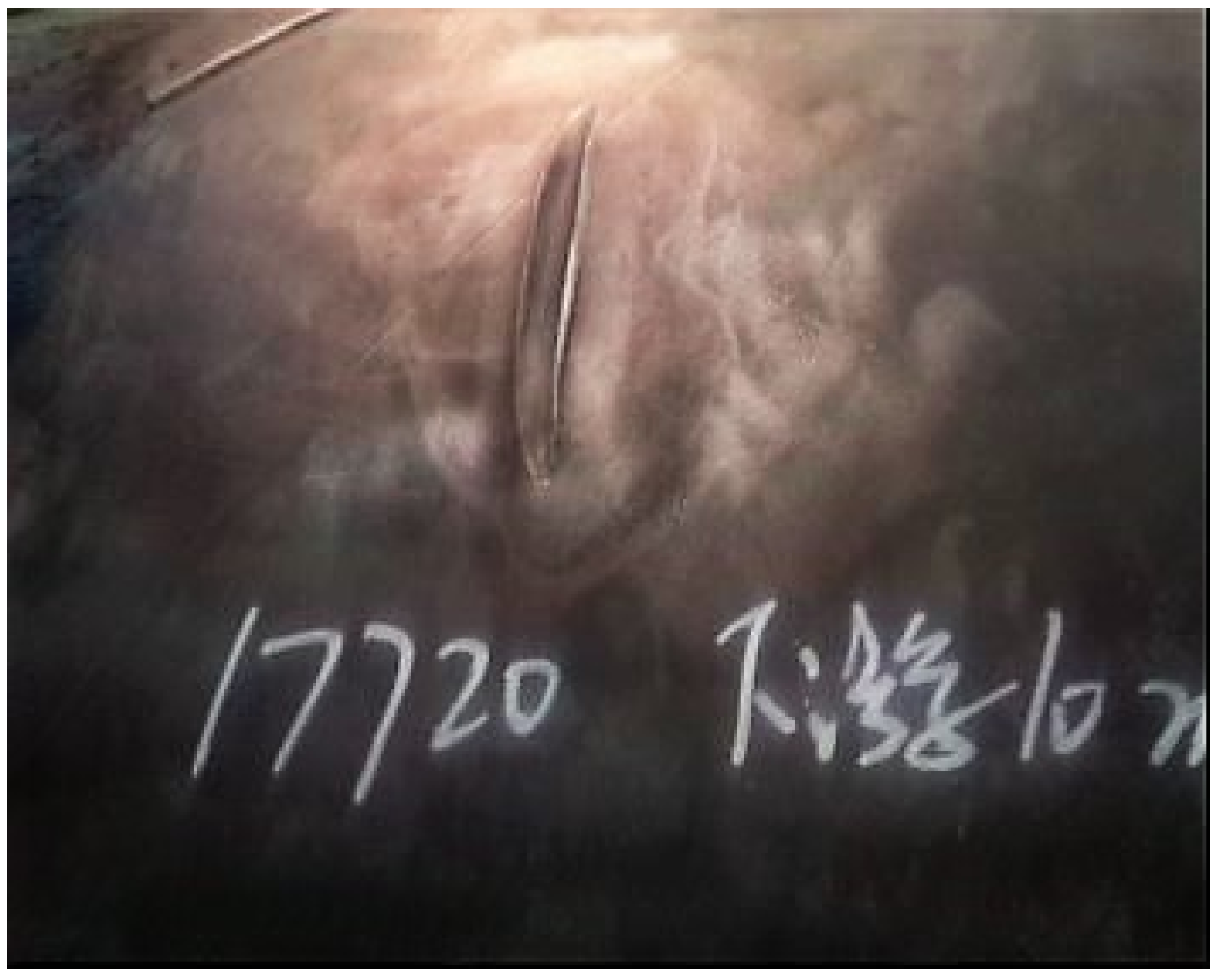 Applsci 10 02736 g014