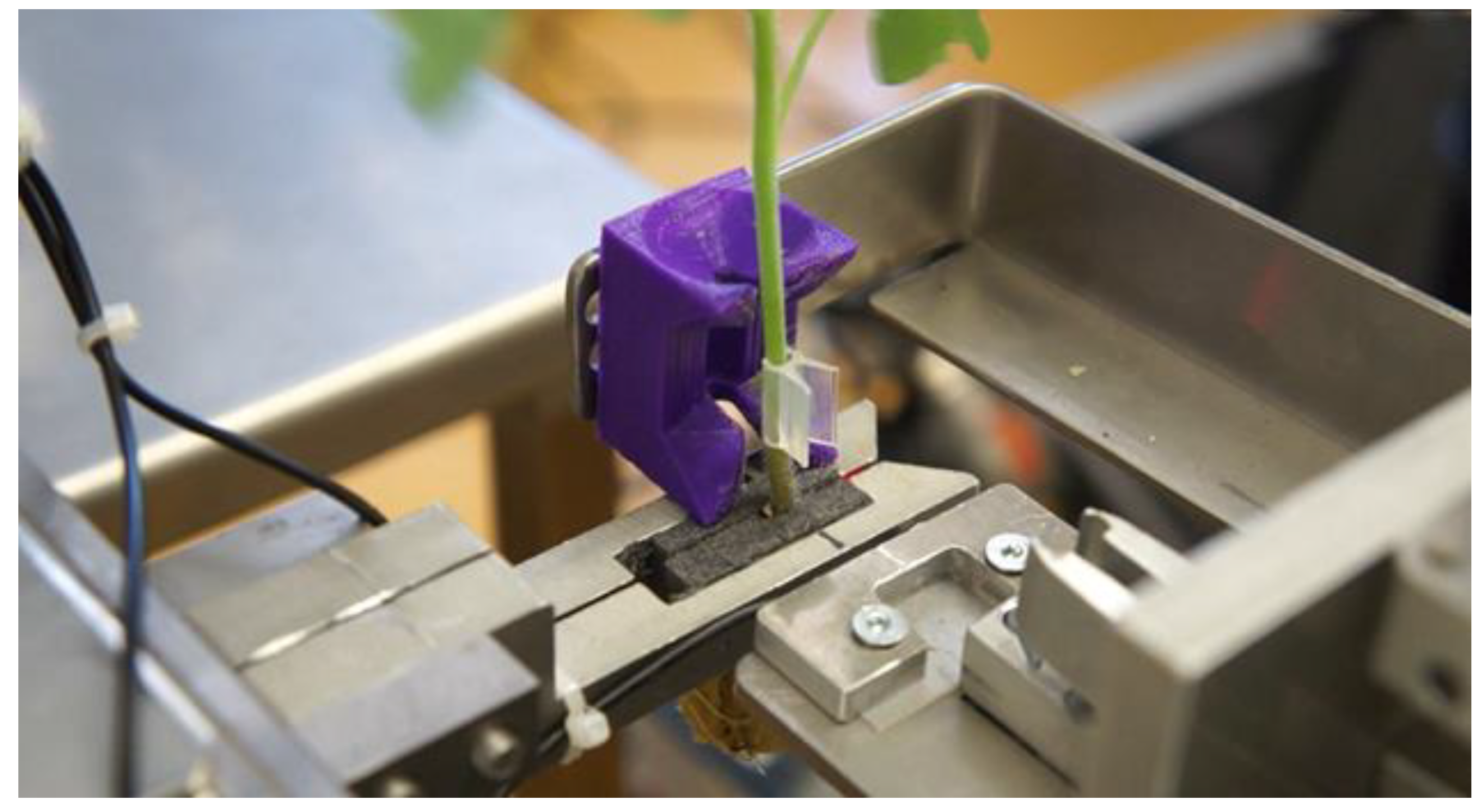 Applsci 10 02745 g006 Applsci 10 02745 g006