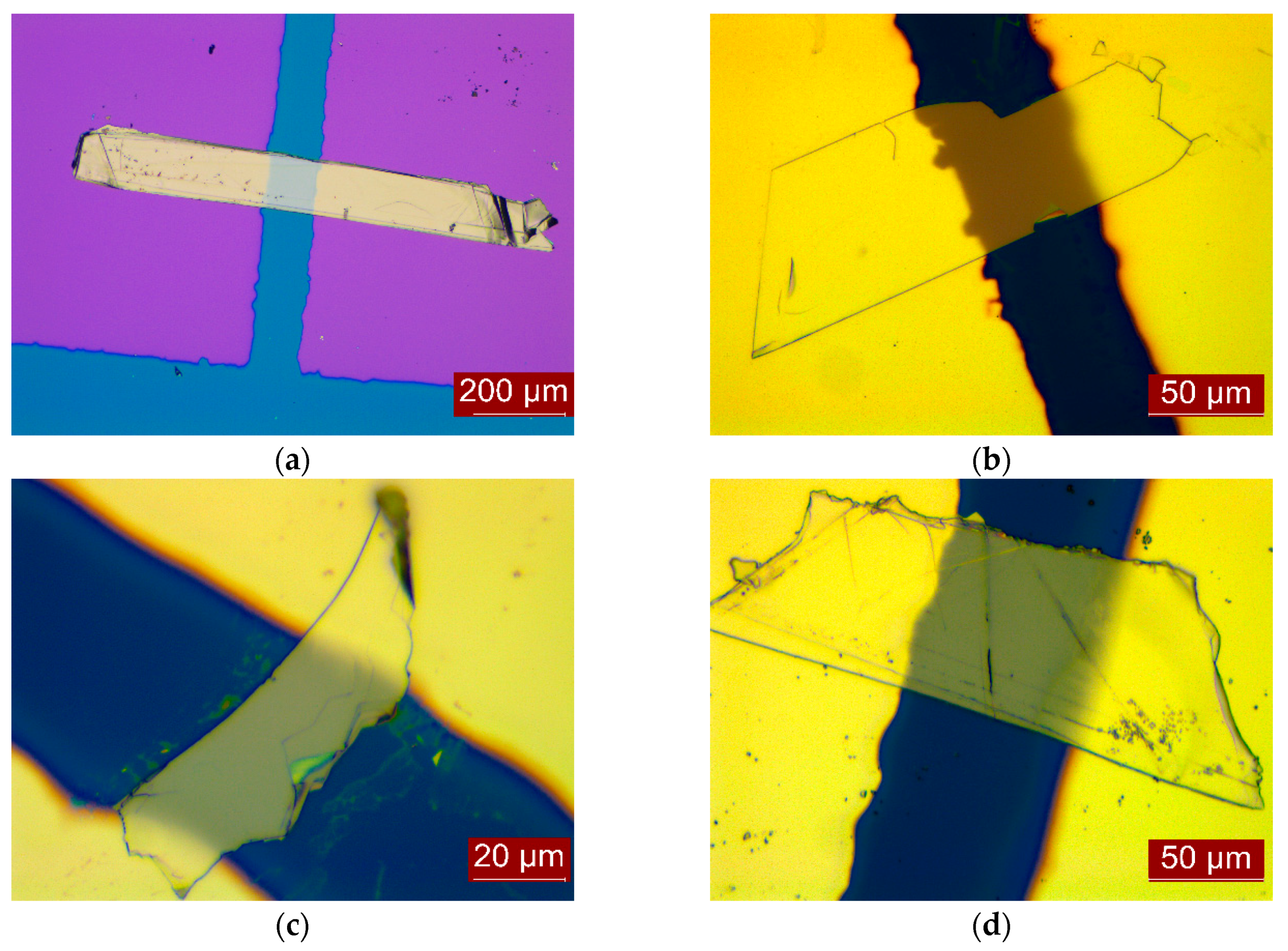 Applsci 10 02754 g003