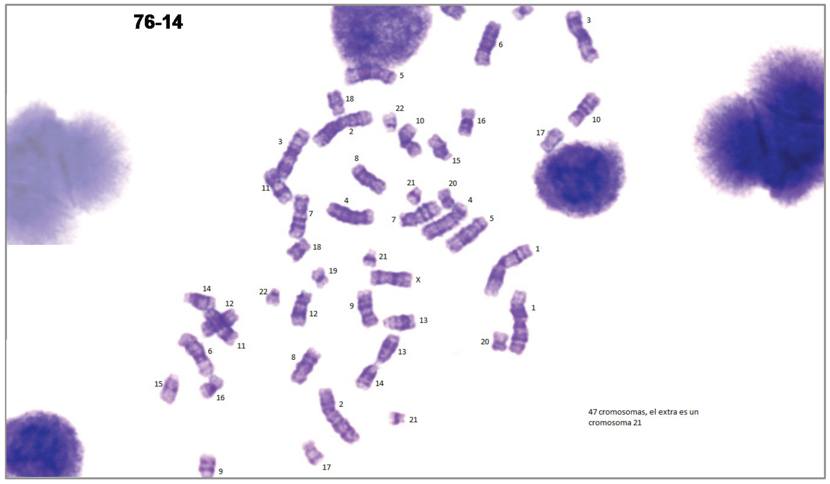 Applsci 10 02758 g001 Applsci 10 02758 g001