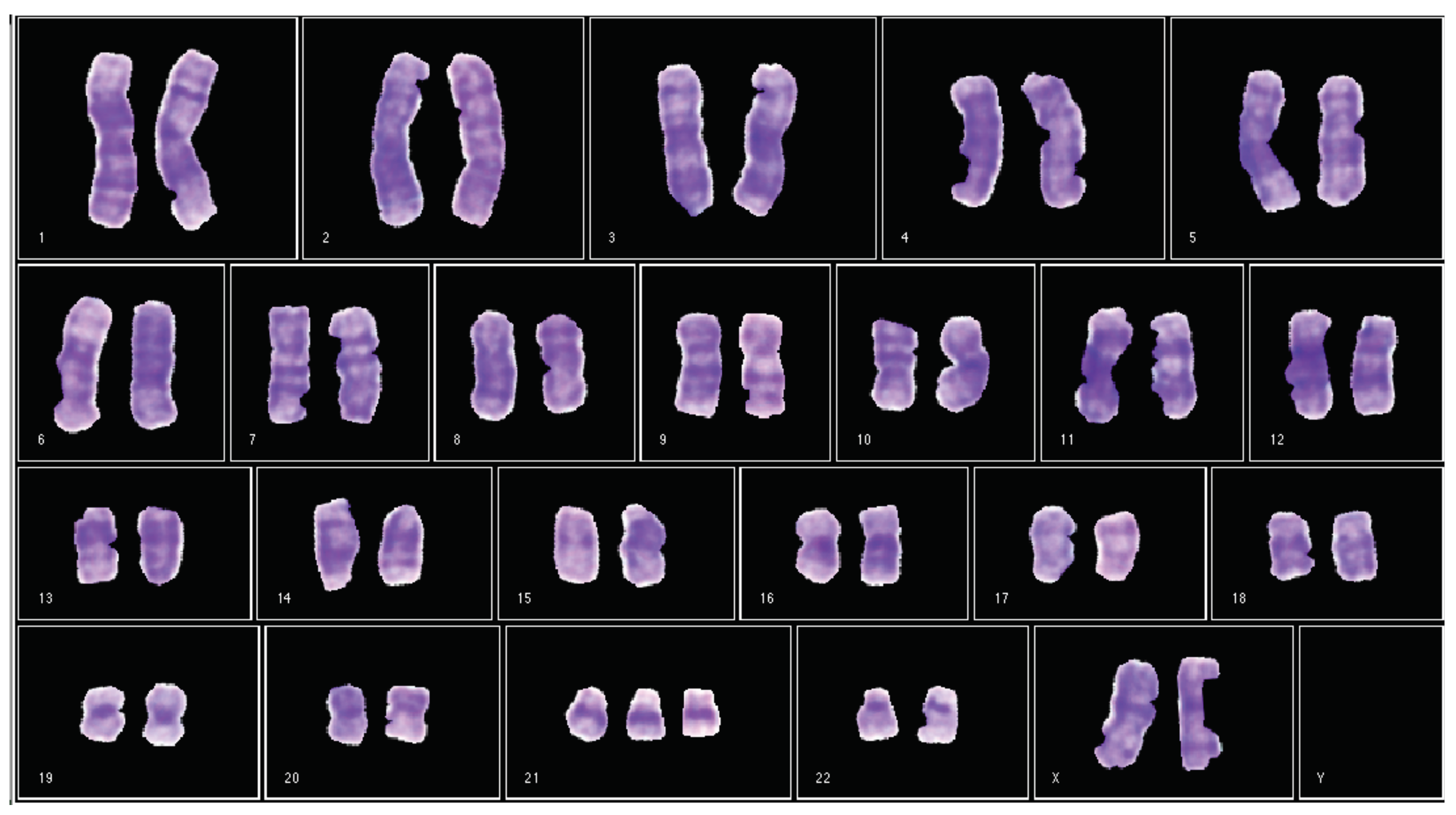 Applsci 10 02758 g002 Applsci 10 02758 g002