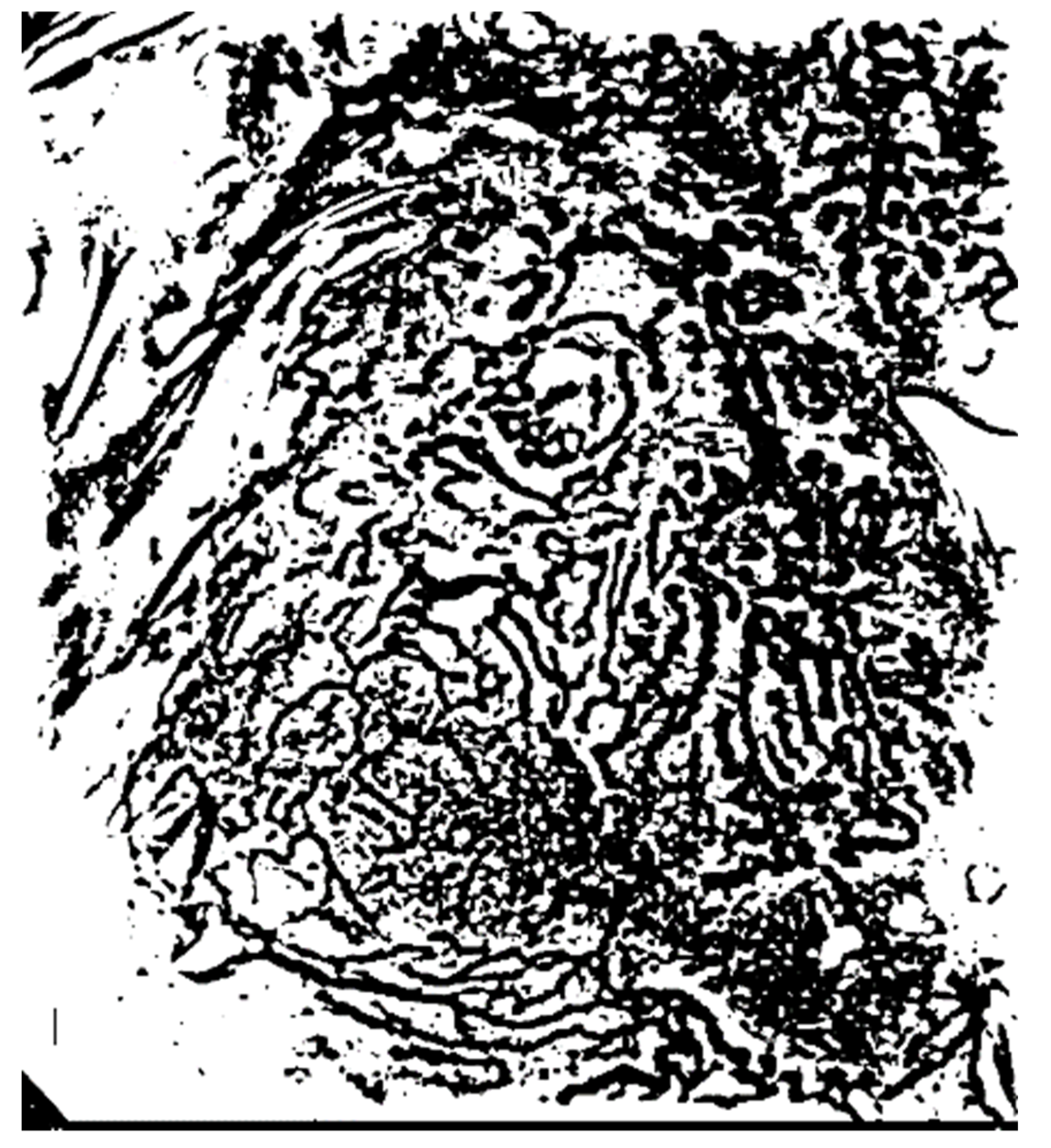 Applsci 10 02771 g008 Applsci 10 02771 g008