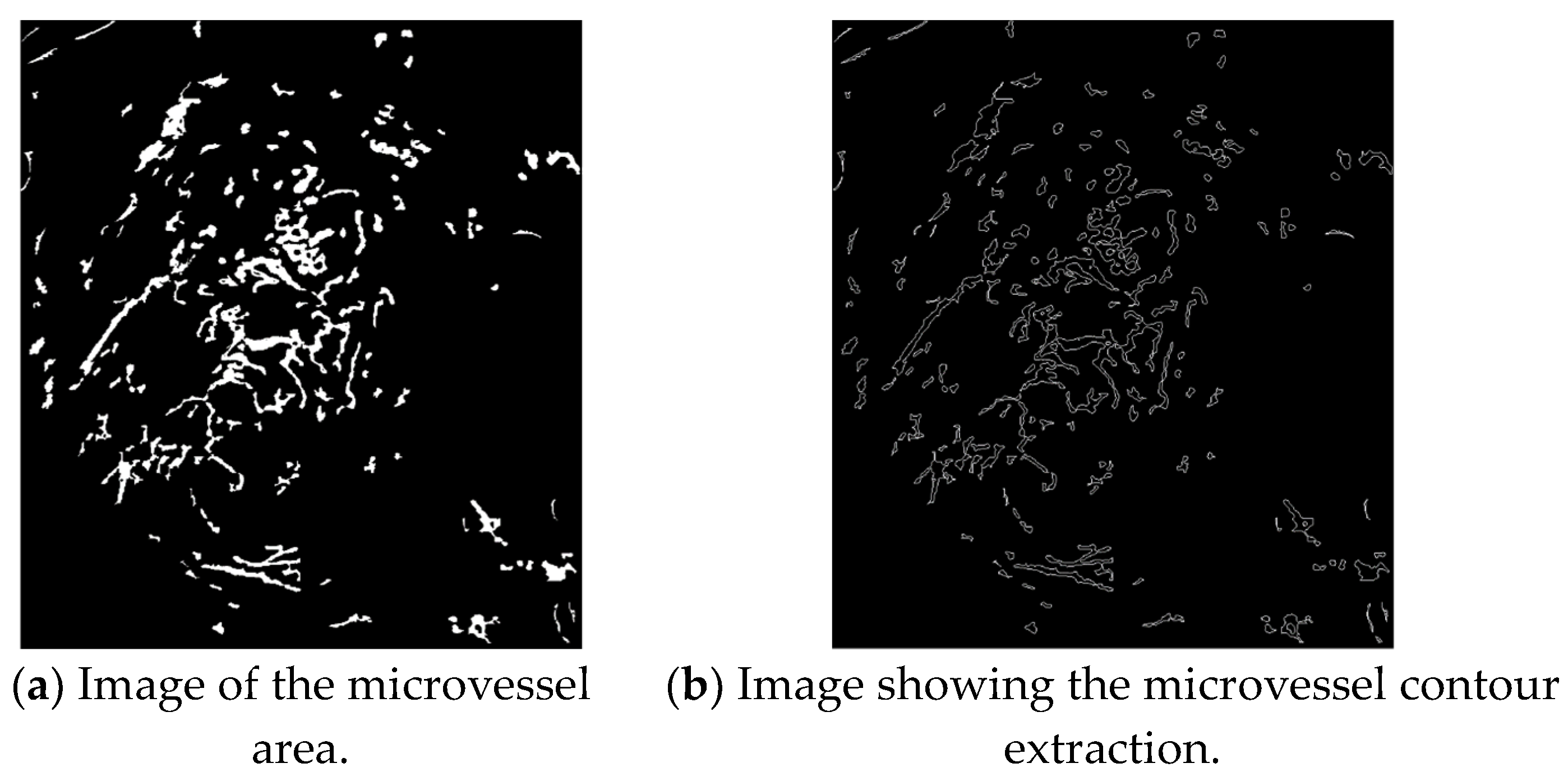 Applsci 10 02771 g012 Applsci 10 02771 g012