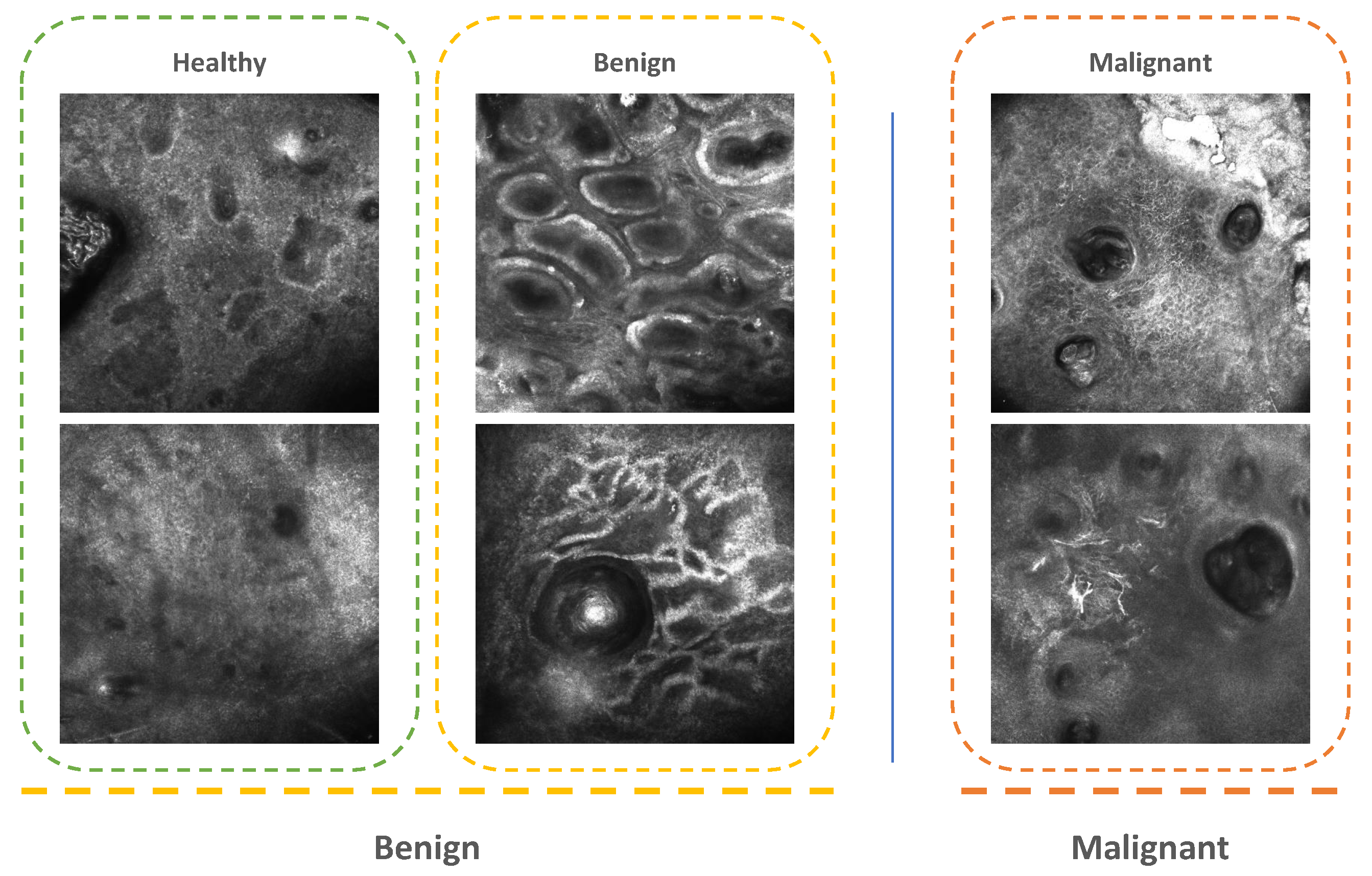 Applsci 10 02830 g002