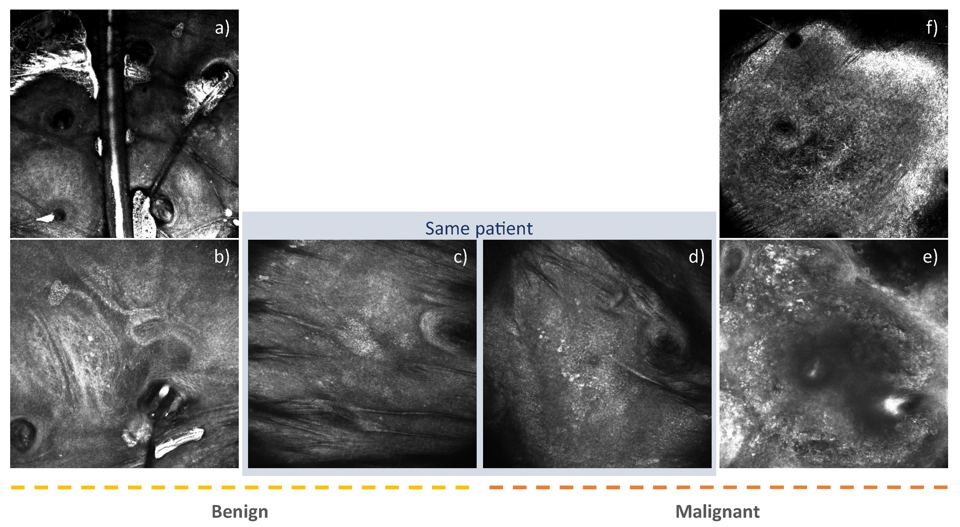 Applsci 10 02830 g006