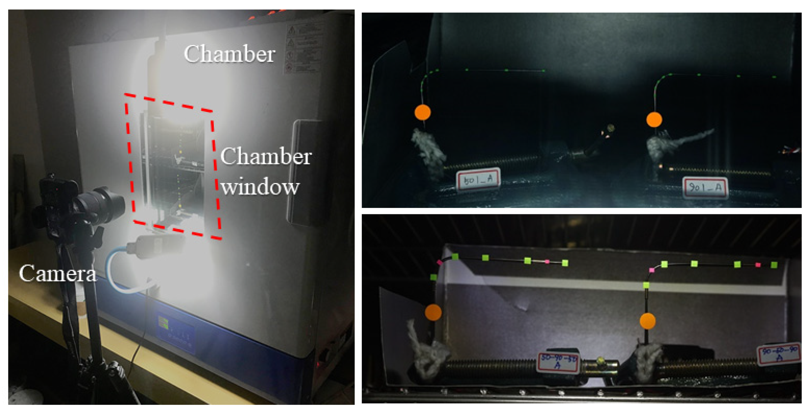 Applsci 10 02842 g005