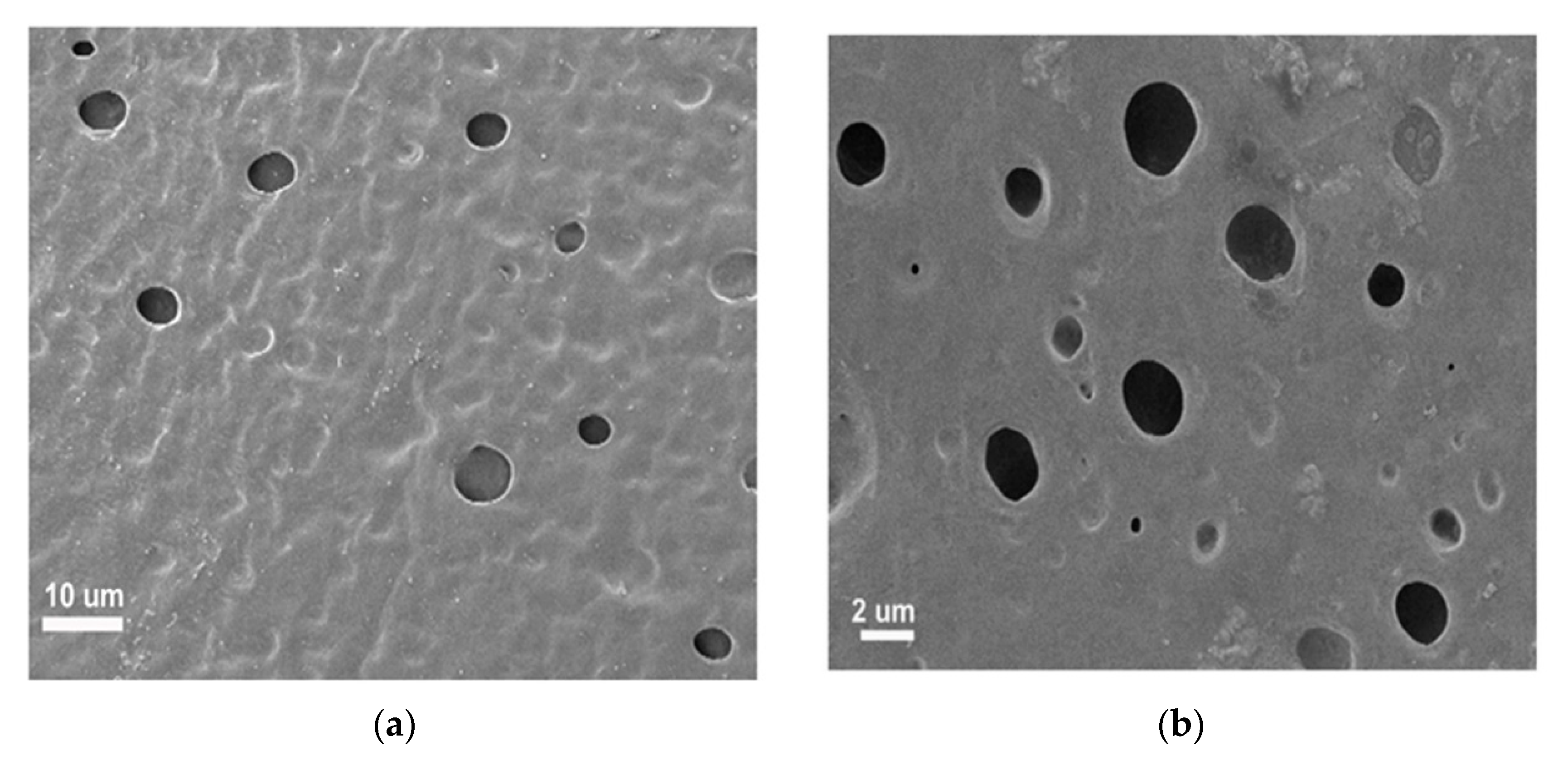 Applsci 10 02848 g002 Applsci 10 02848 g002