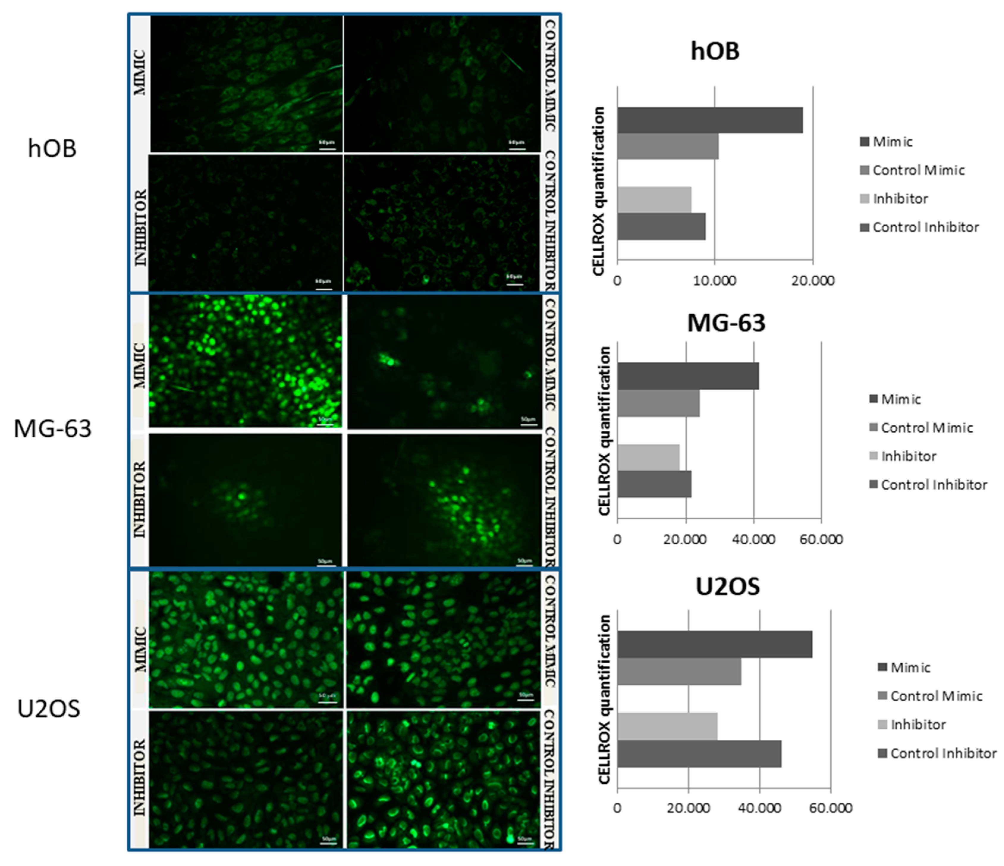 Applsci 10 02852 g005