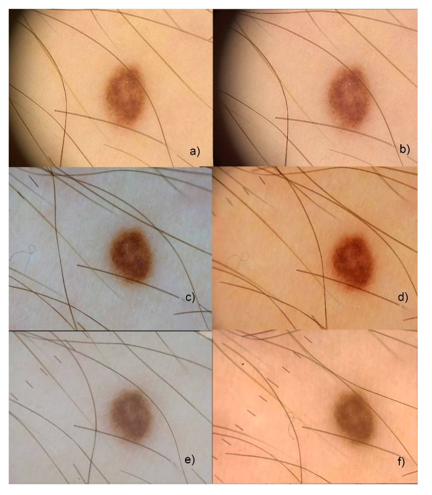 Applsci 10 02876 g012