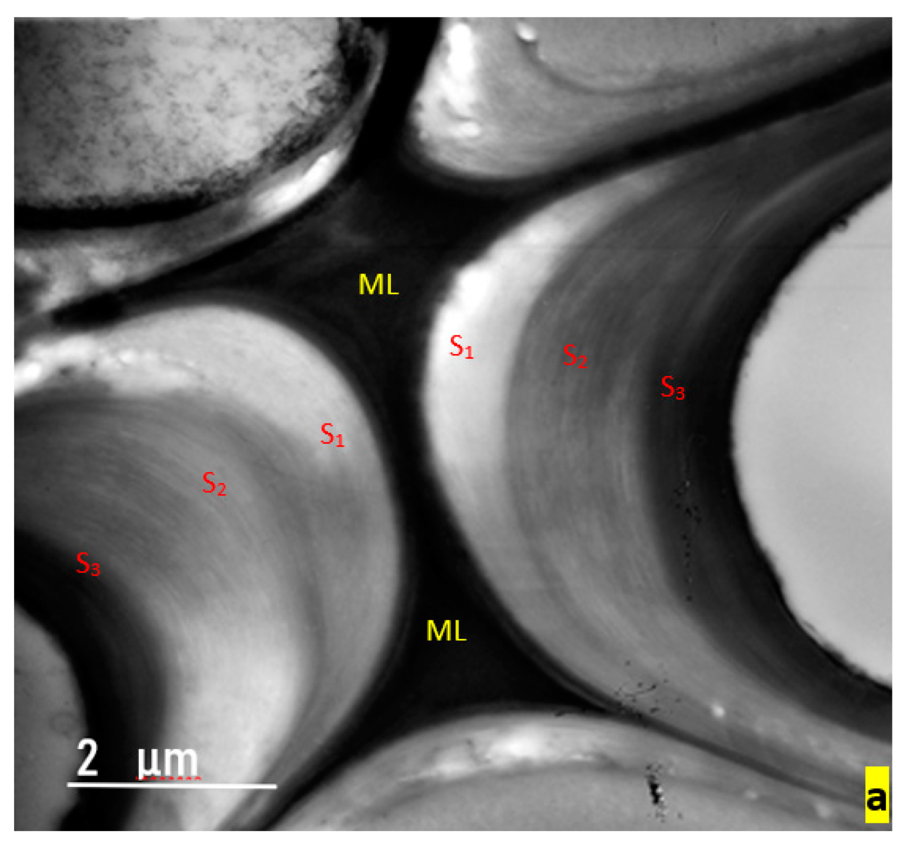 Applsci 10 02886 g002a Applsci 10 02886 g002a