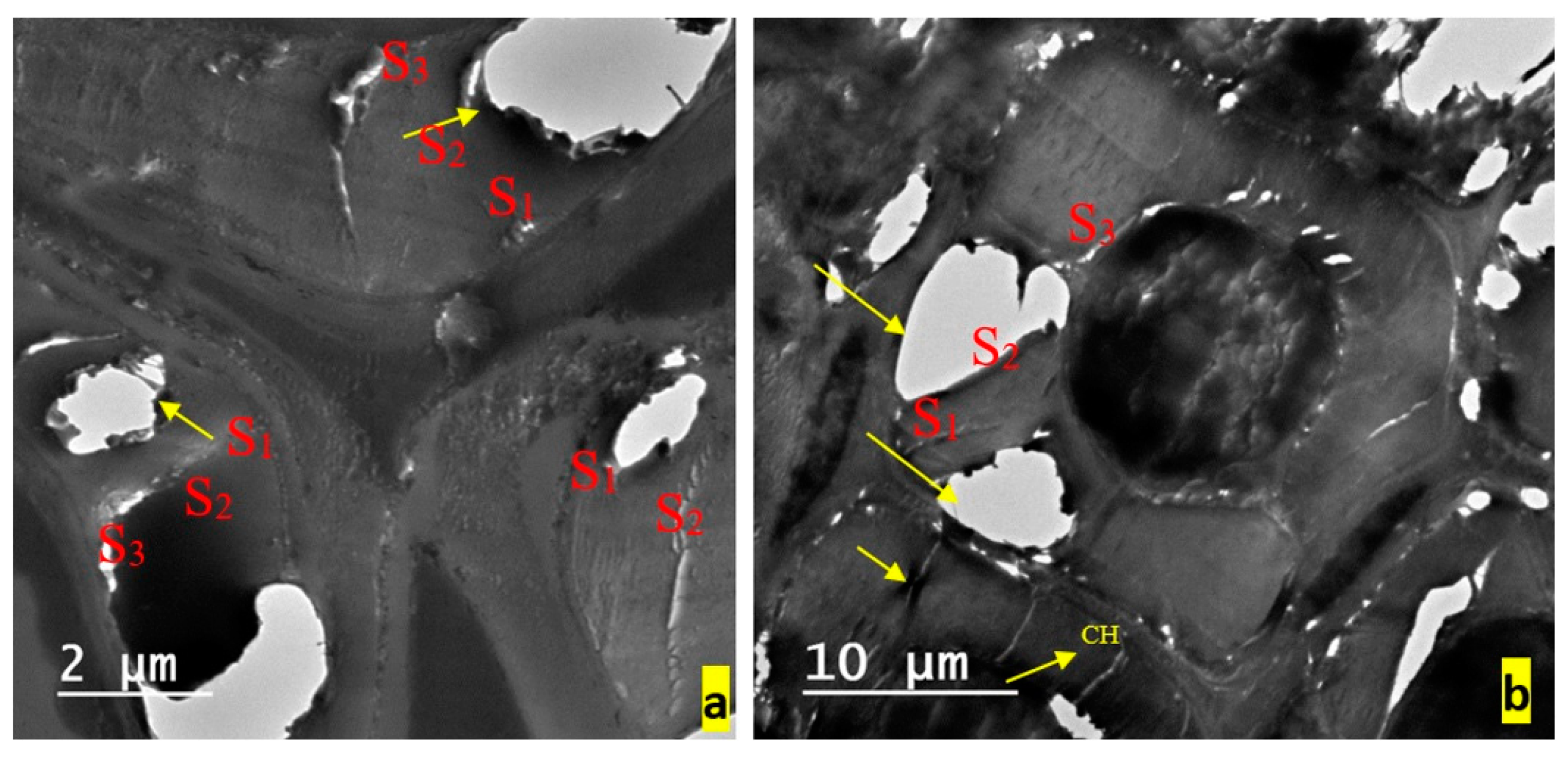 Applsci 10 02886 g003a Applsci 10 02886 g003a
