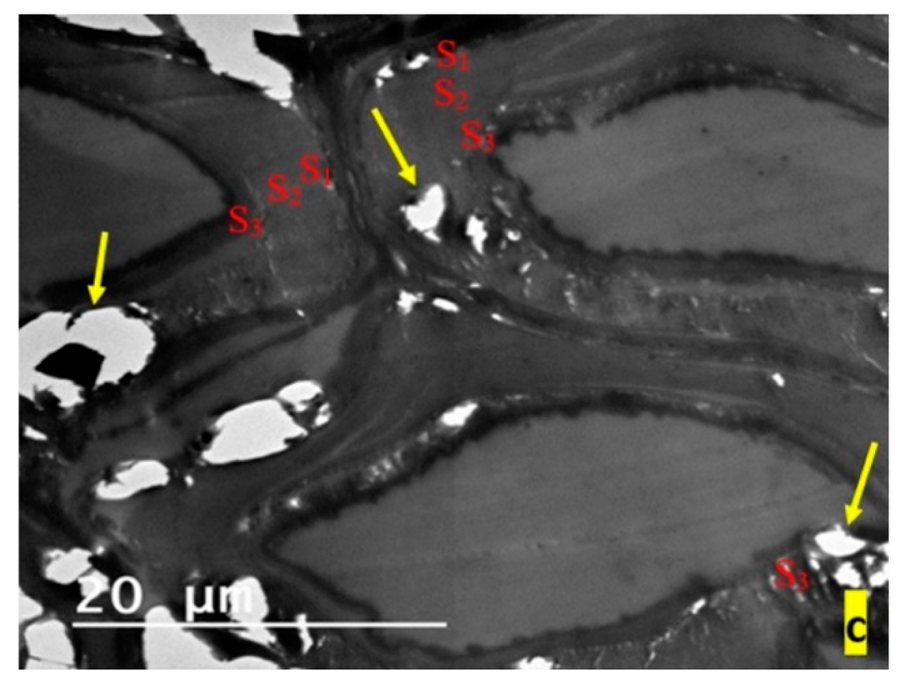 Applsci 10 02886 g003b Applsci 10 02886 g003b