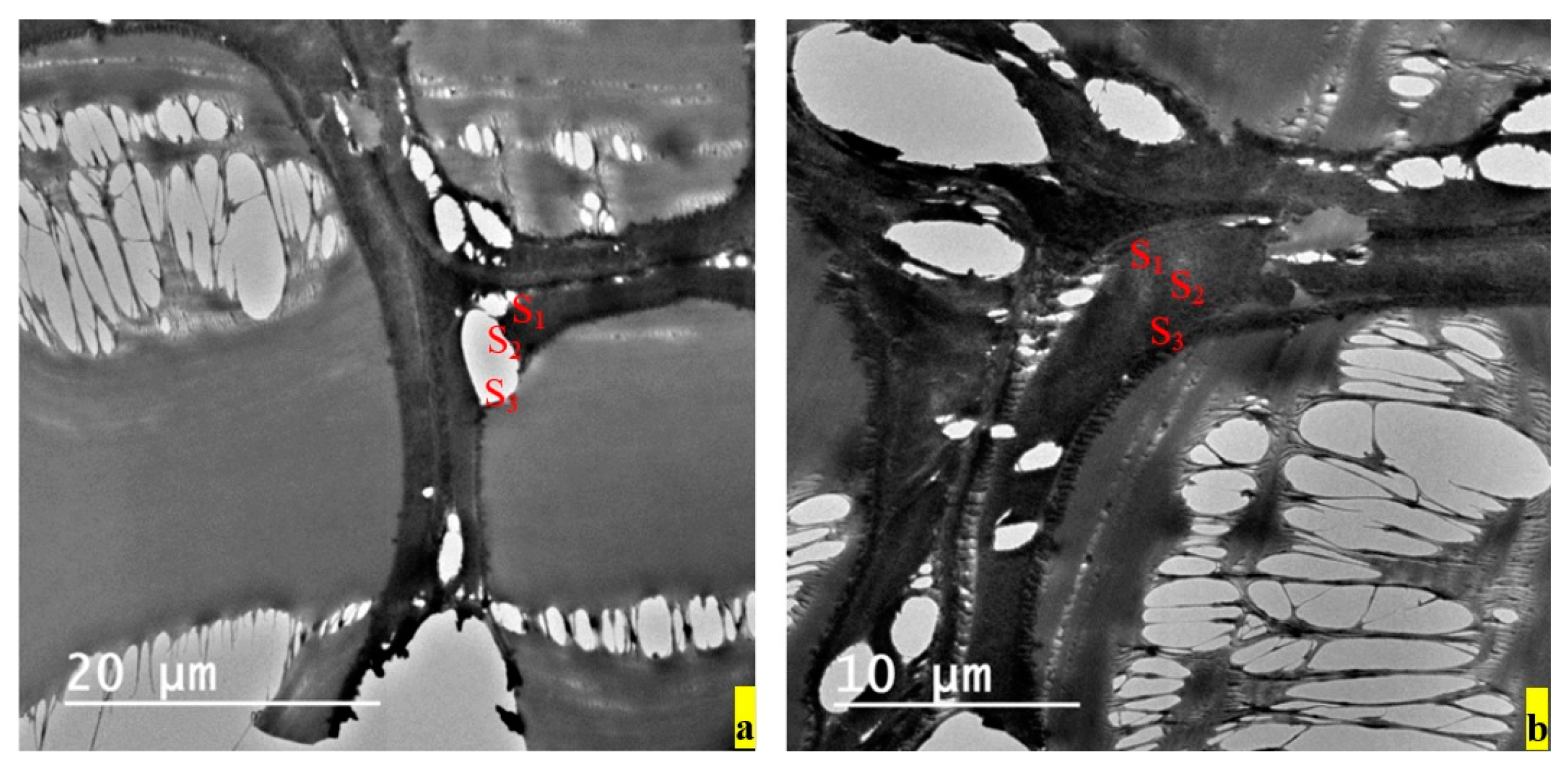 Applsci 10 02886 g004 Applsci 10 02886 g004