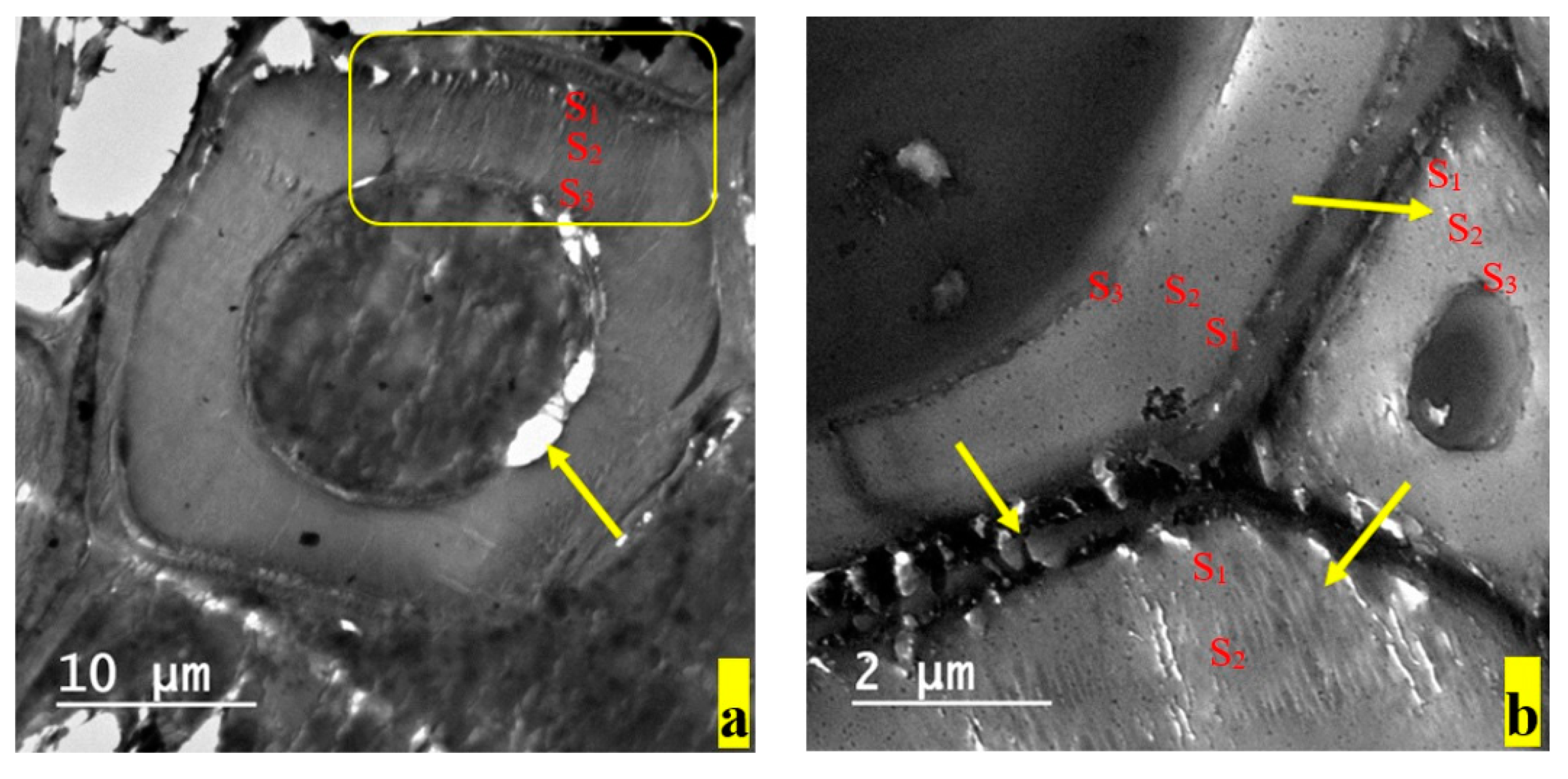 Applsci 10 02886 g005 Applsci 10 02886 g005