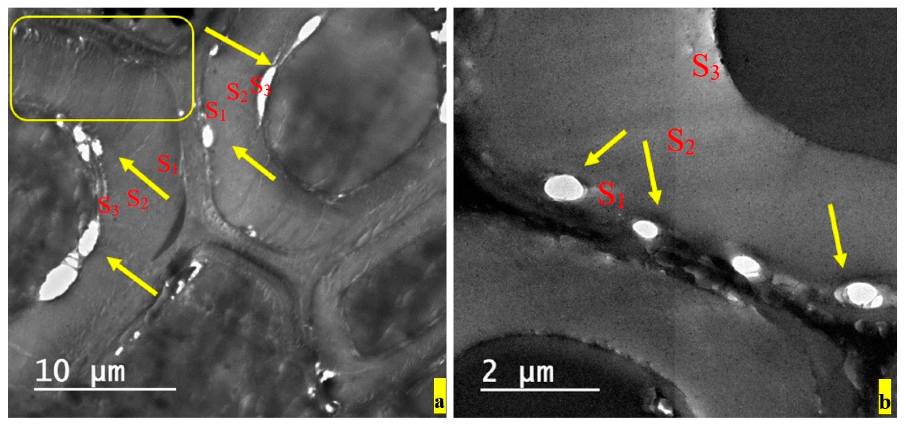 Applsci 10 02886 g006 Applsci 10 02886 g006