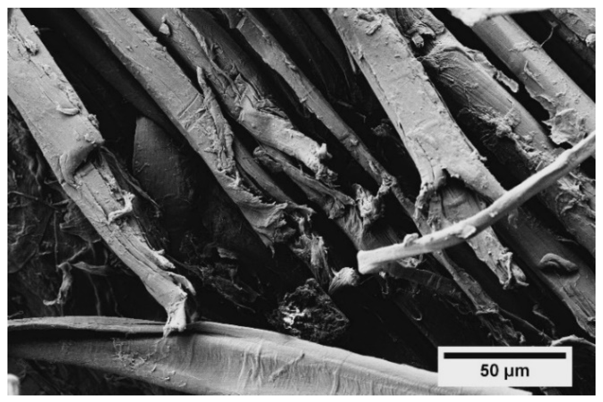 Applsci 10 02910 g004