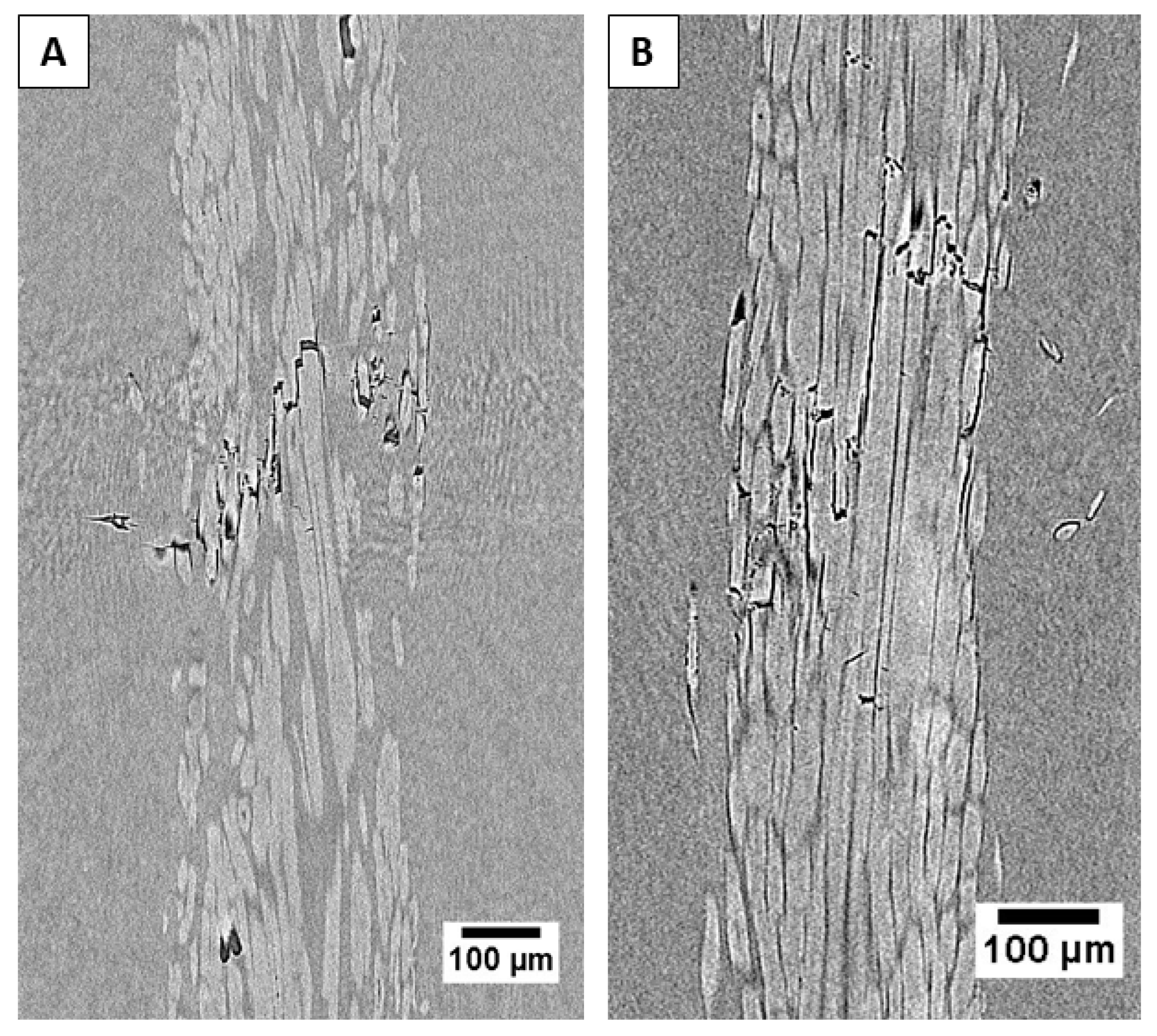 Applsci 10 02910 g009