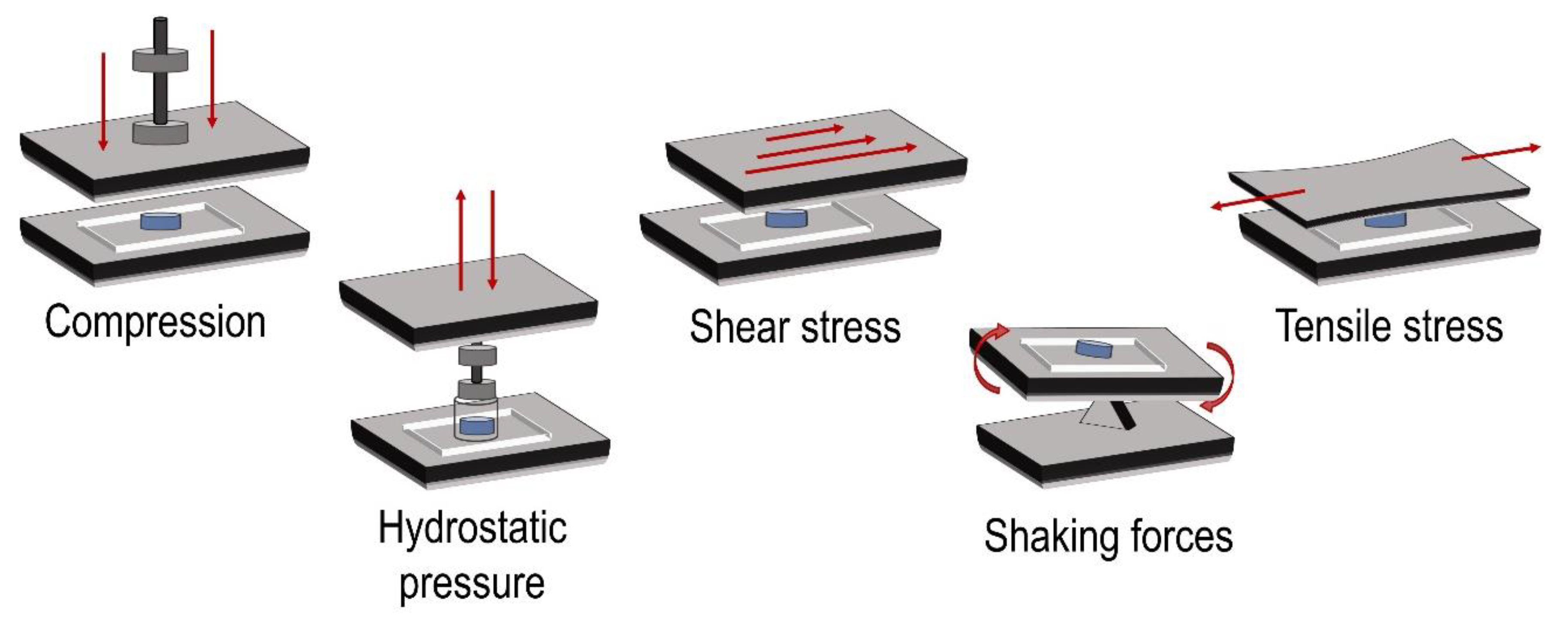 Applsci 10 02927 g002
