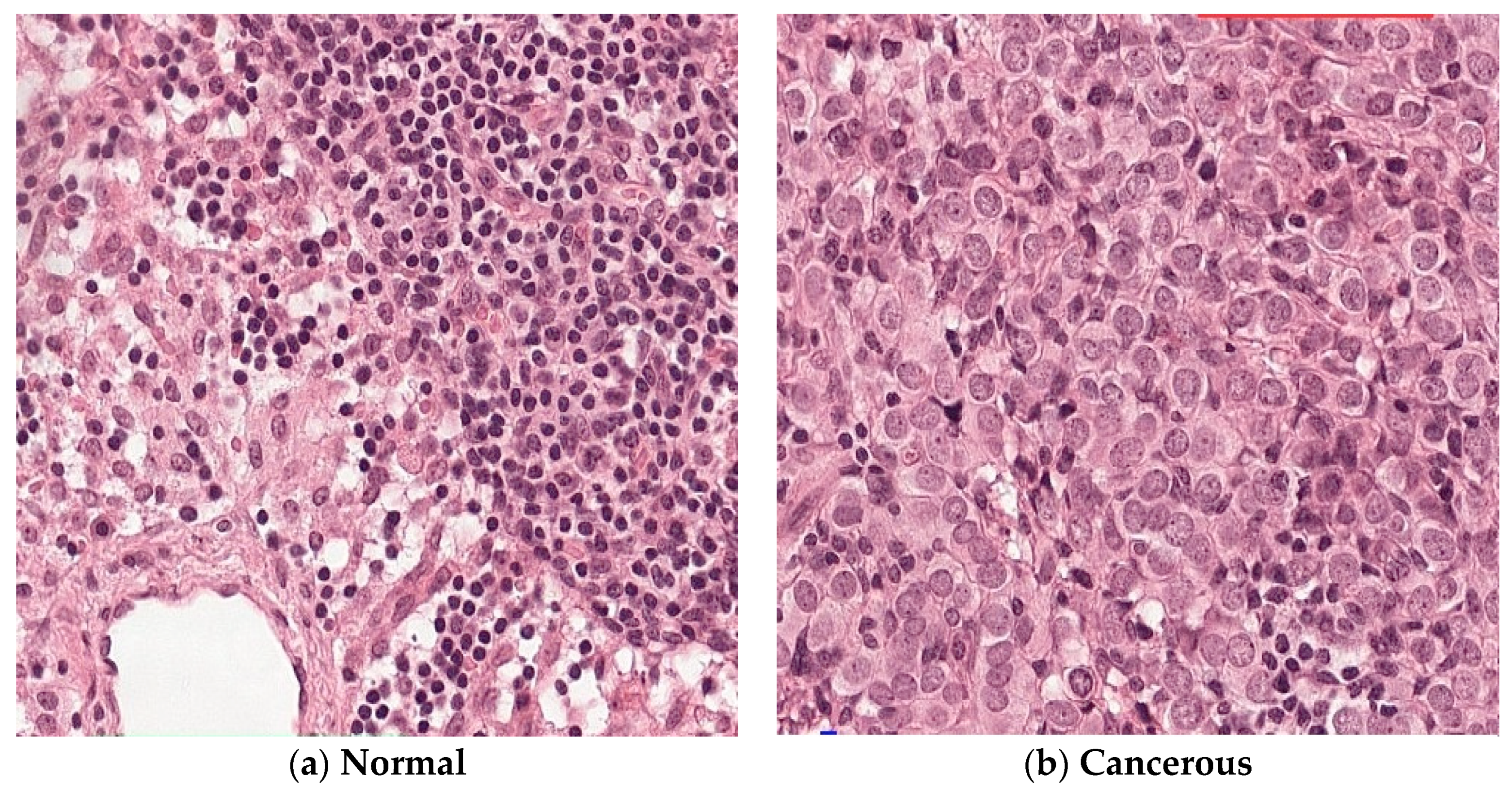 Applsci 10 02929 g003