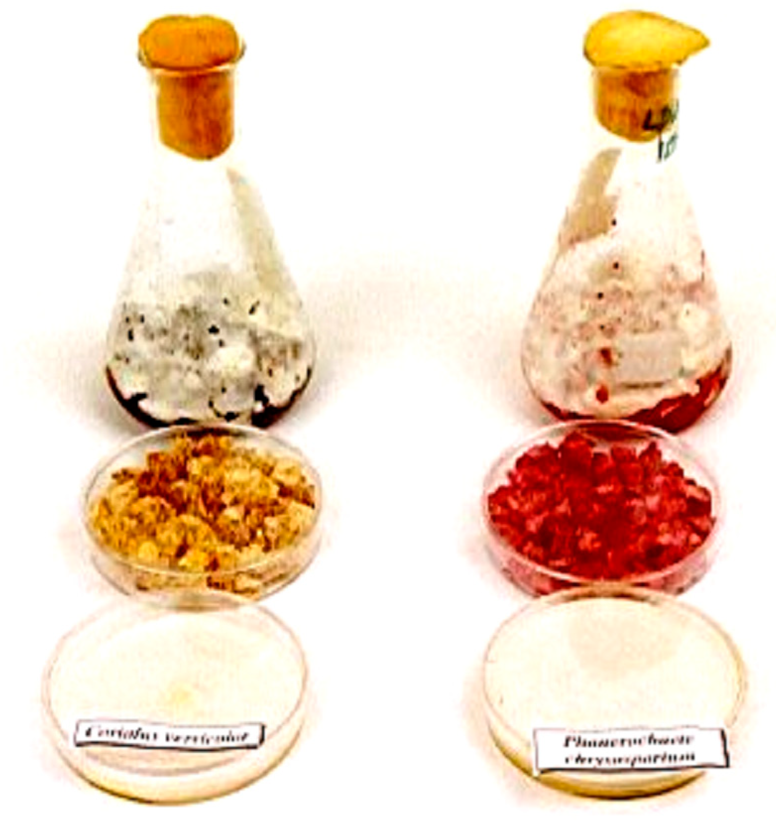 Applsci 10 02958 g002 Applsci 10 02958 g002