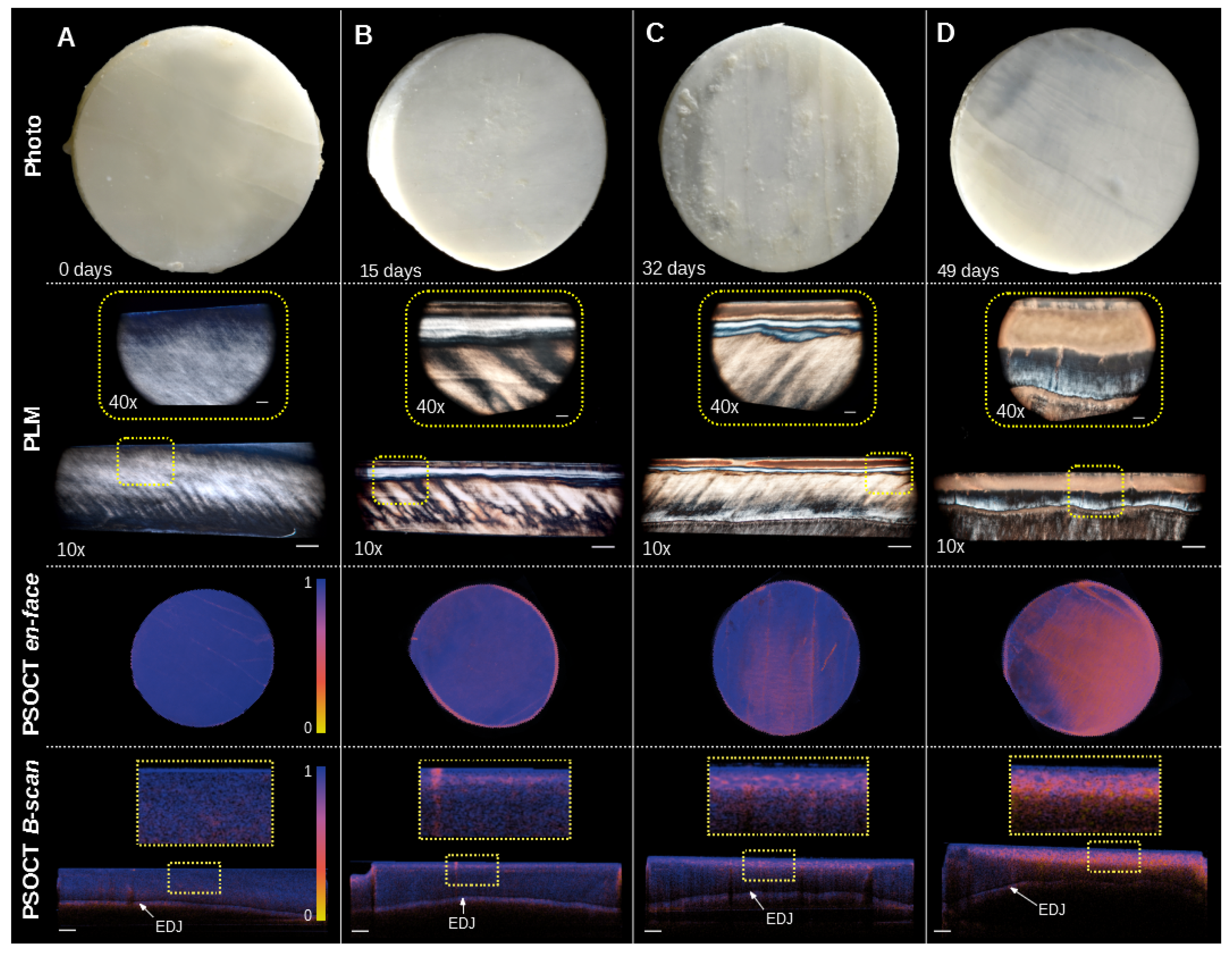 Applsci 10 02971 g002 550