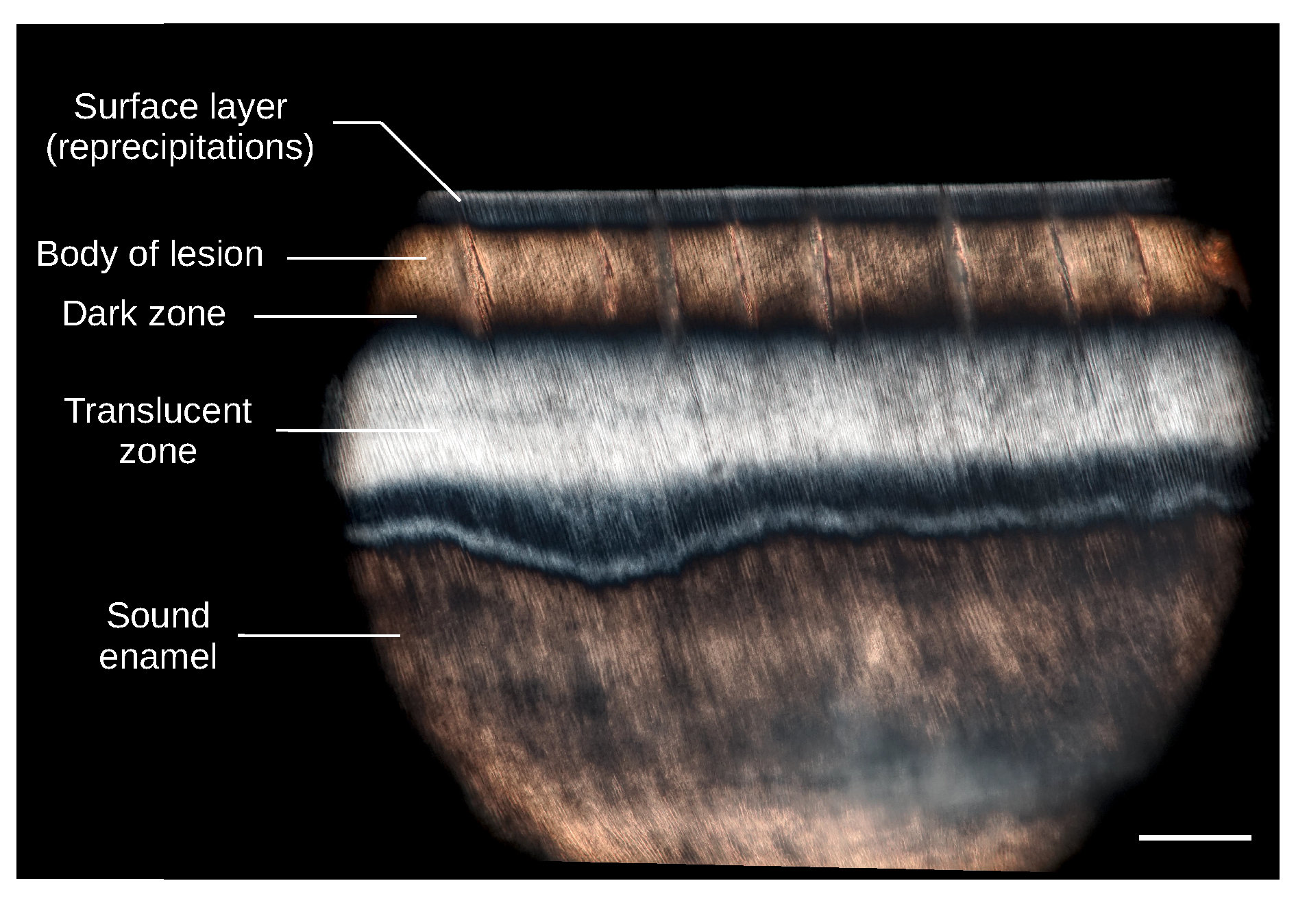 Applsci 10 02971 g003 550