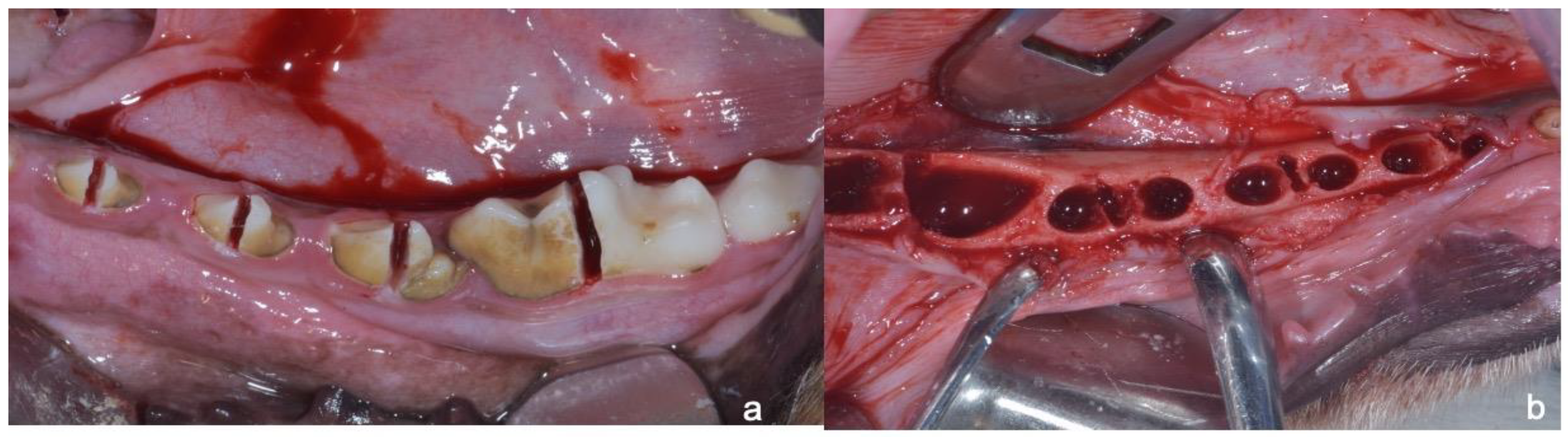 Applsci 10 03006 g002 Applsci 10 03006 g002