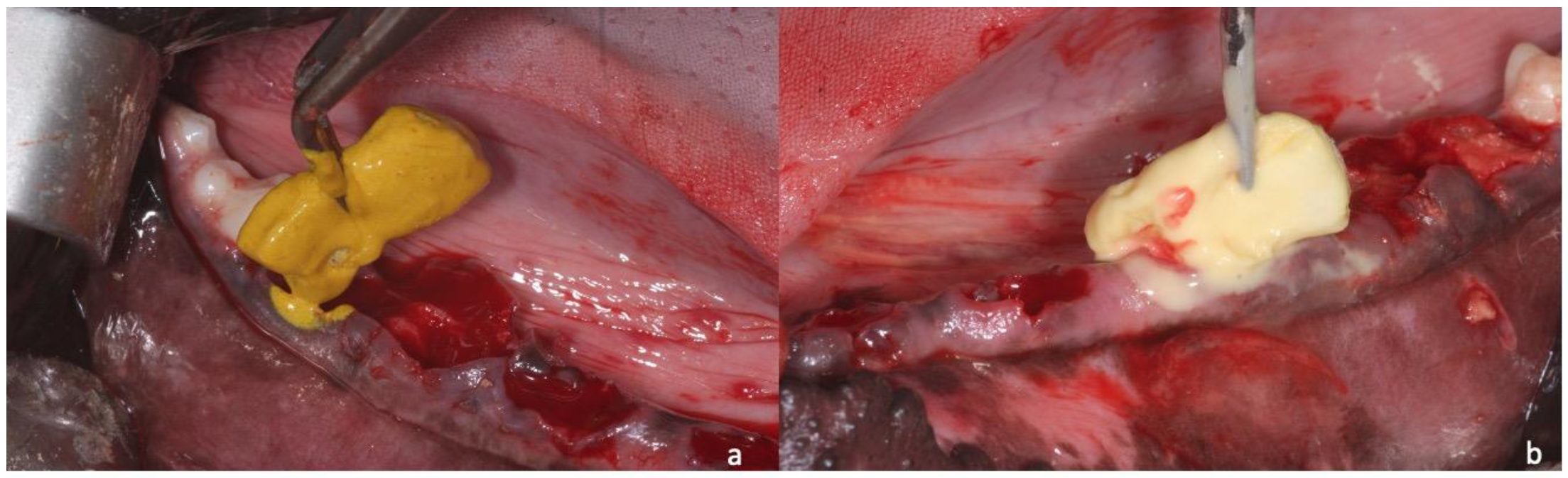 Applsci 10 03006 g003 Applsci 10 03006 g003