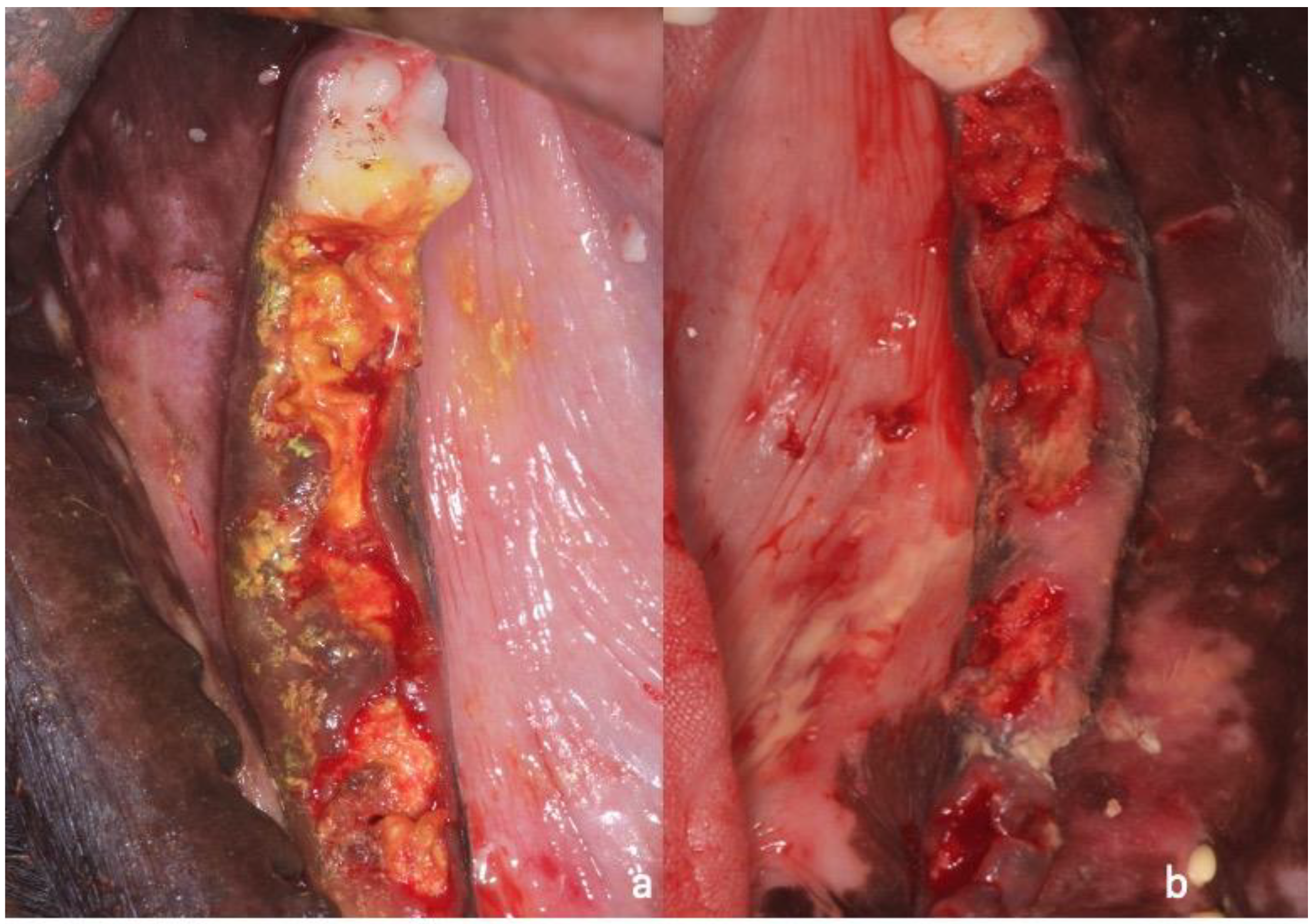 Applsci 10 03006 g004 Applsci 10 03006 g004