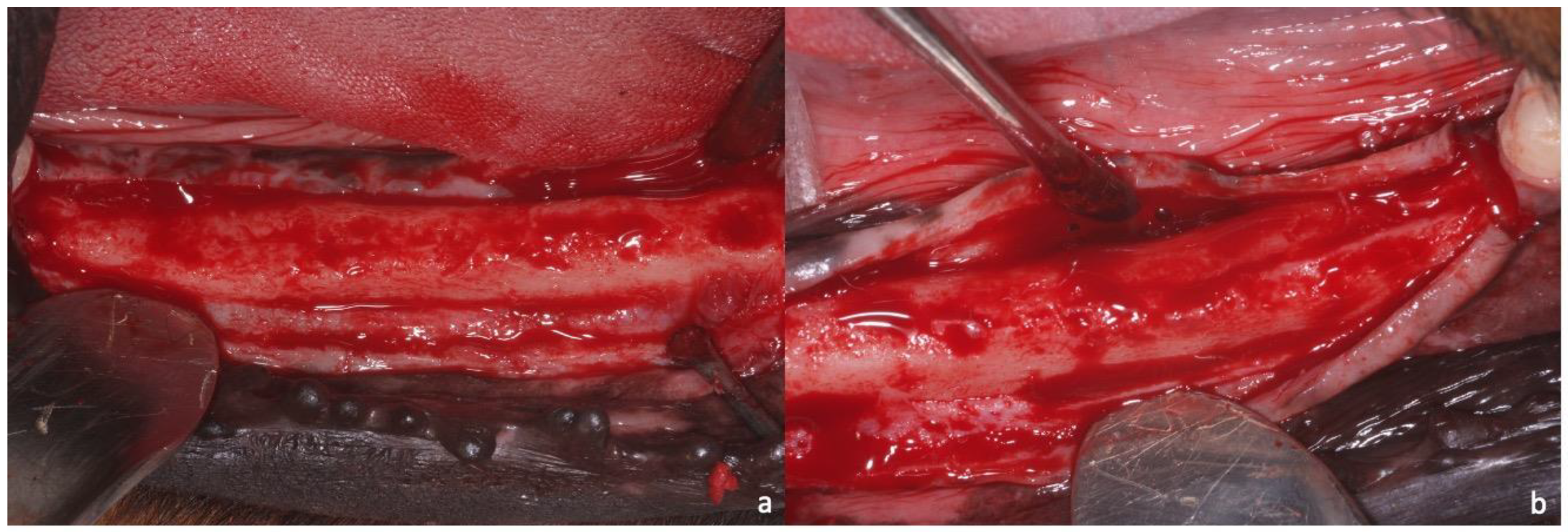 Applsci 10 03006 g005 Applsci 10 03006 g005