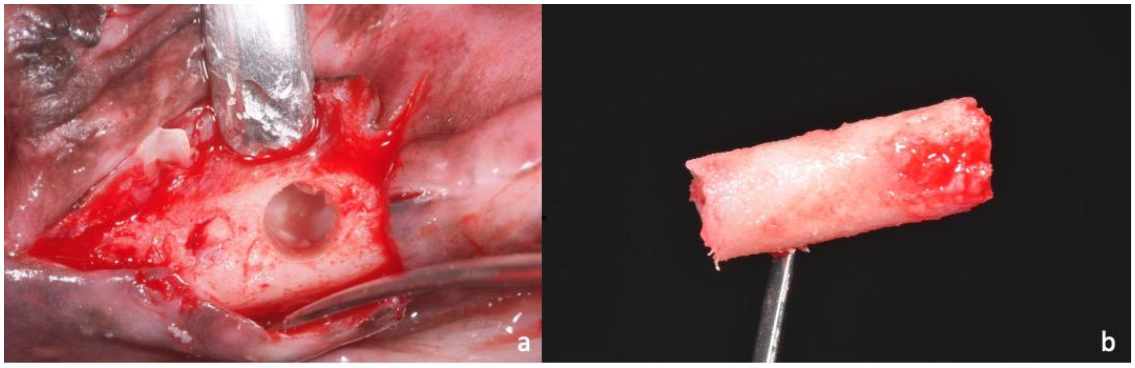 Applsci 10 03006 g006 Applsci 10 03006 g006