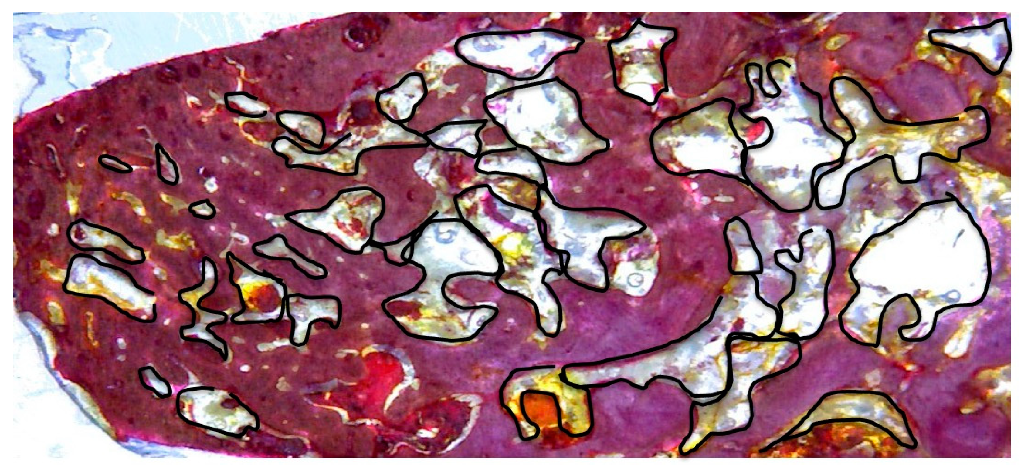 Applsci 10 03006 g007 Applsci 10 03006 g007