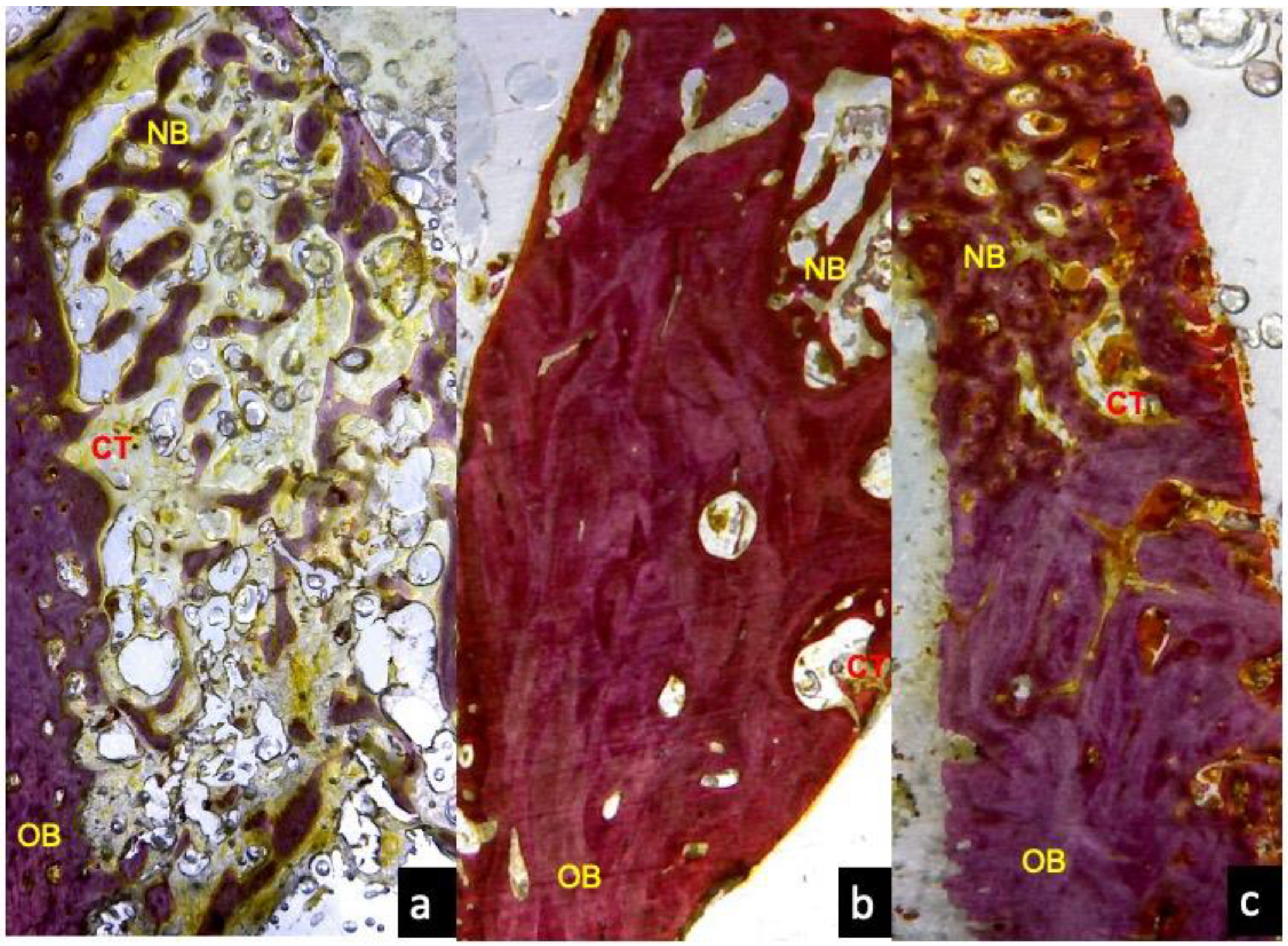 Applsci 10 03006 g008 Applsci 10 03006 g008