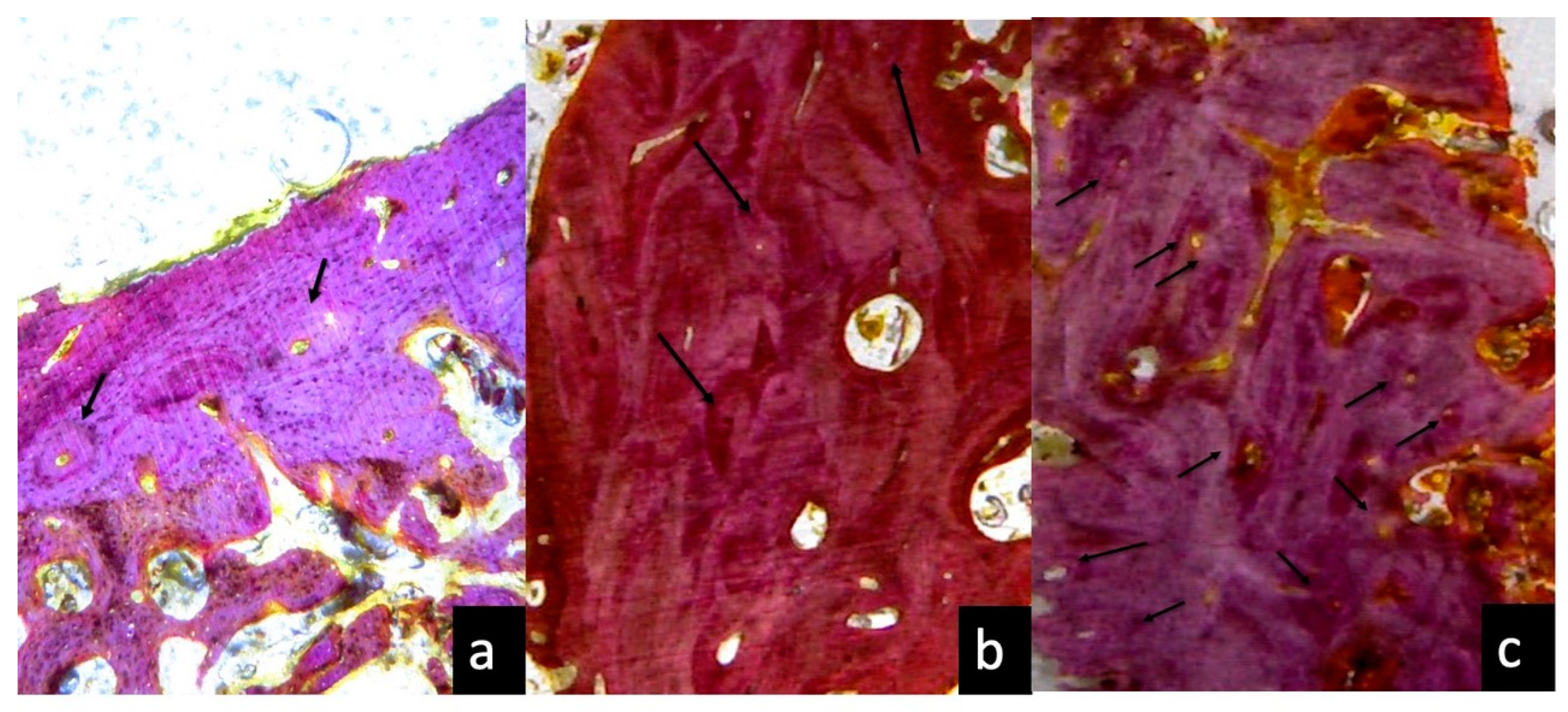 Applsci 10 03006 g009 Applsci 10 03006 g009
