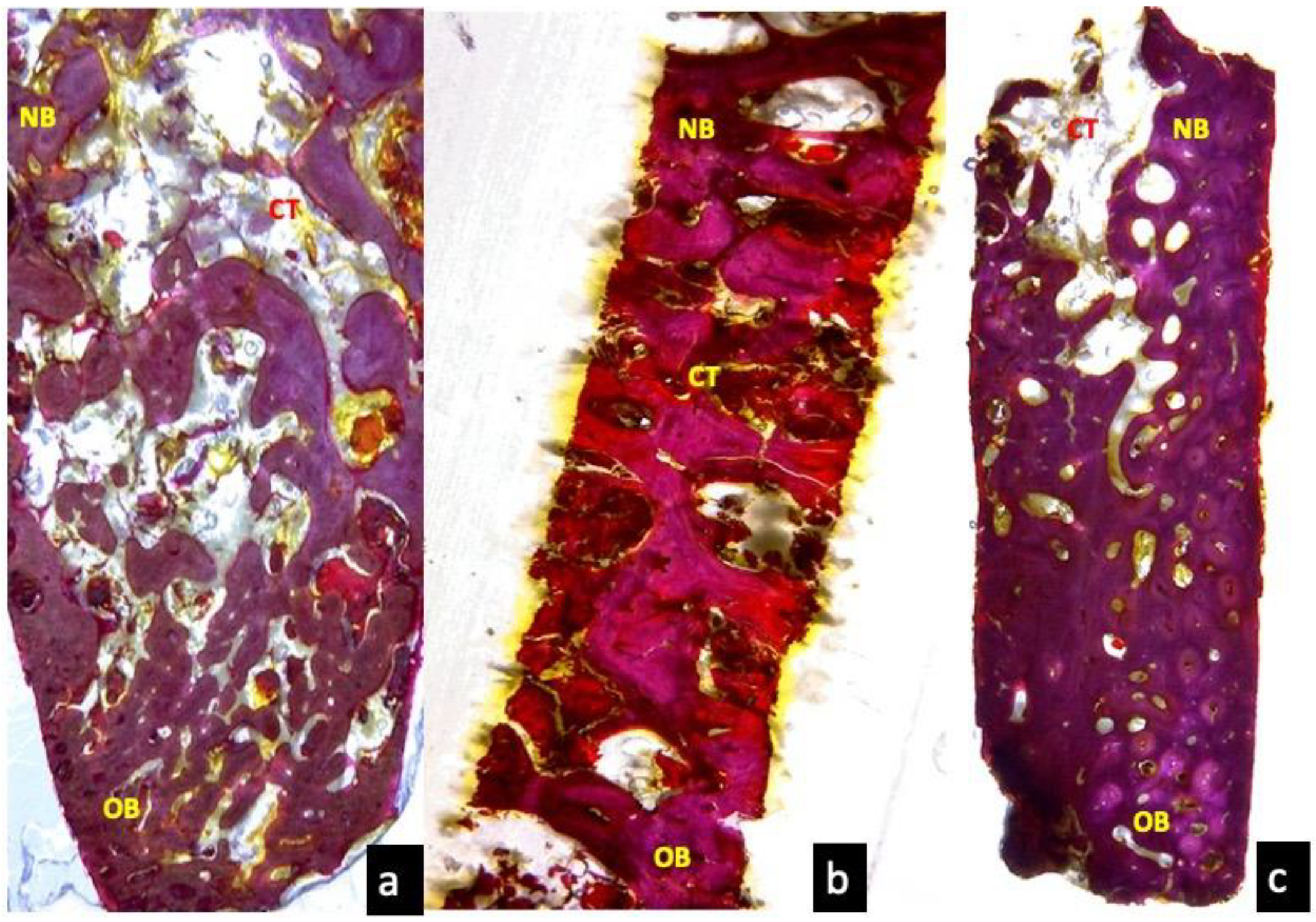 Applsci 10 03006 g011 Applsci 10 03006 g011
