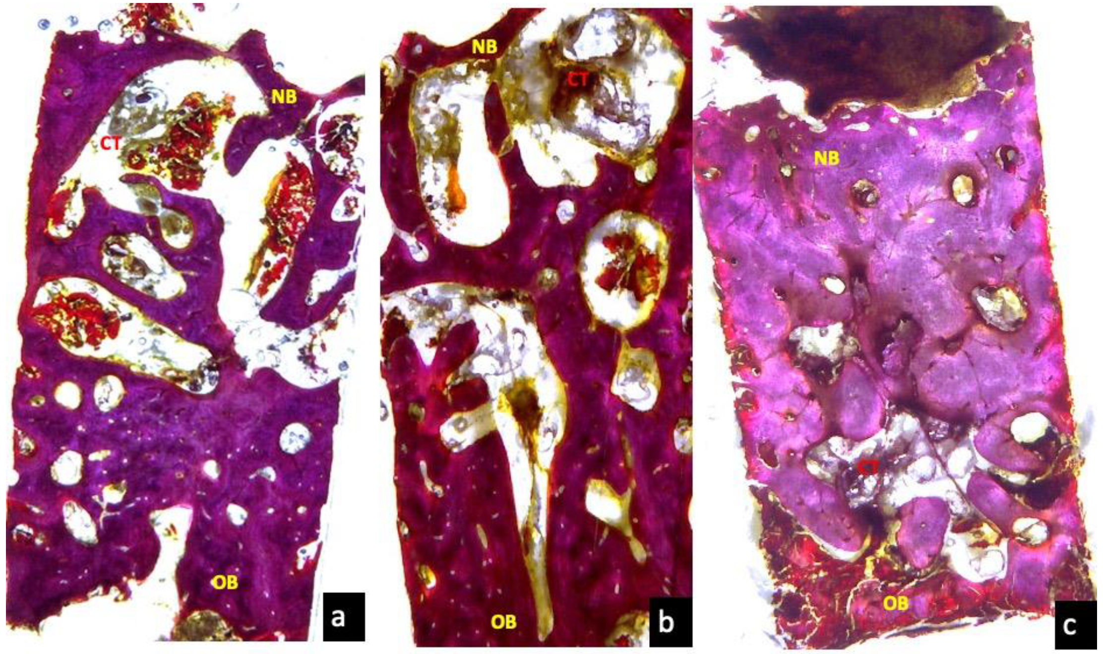 Applsci 10 03006 g013 Applsci 10 03006 g013